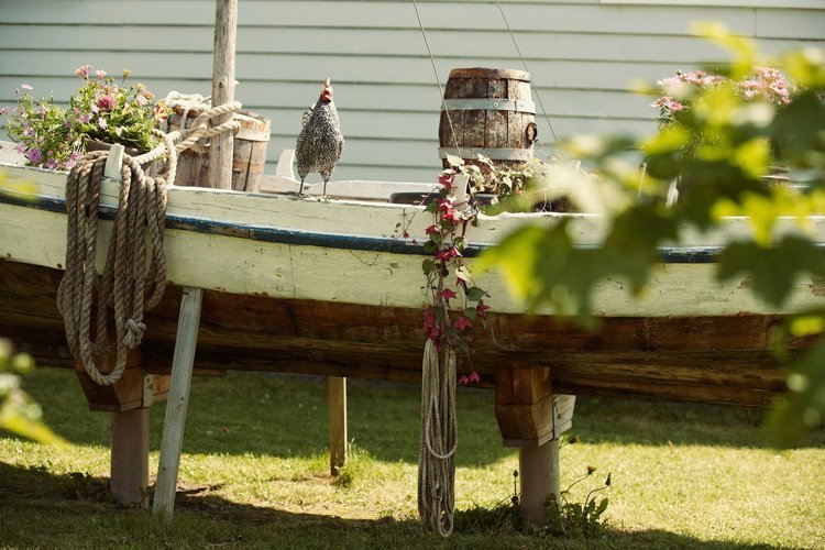 Convenience and Community: Why Backyard Chickens Are the Perfect Fit for Modern Families