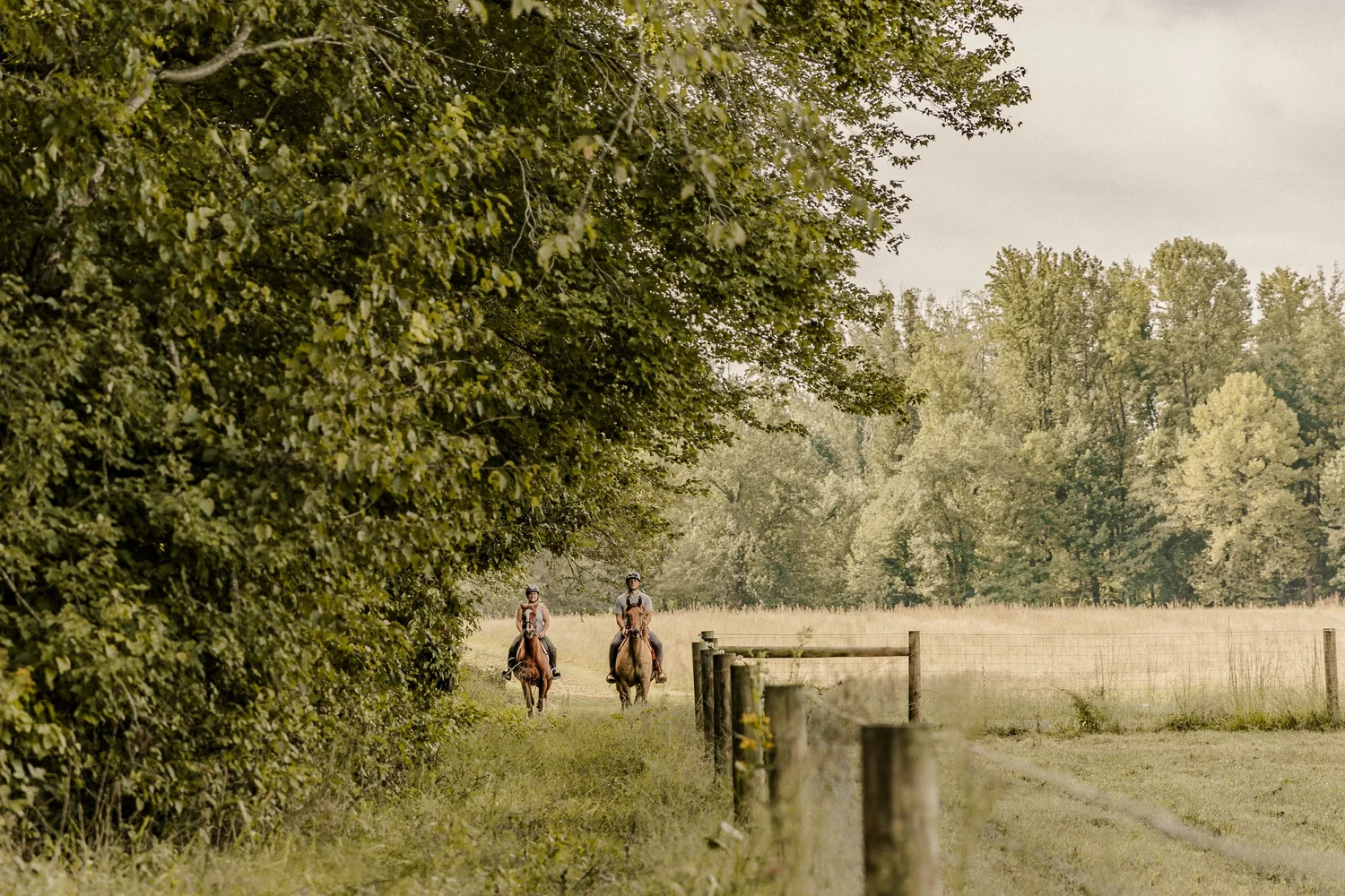 Foxfire Farm