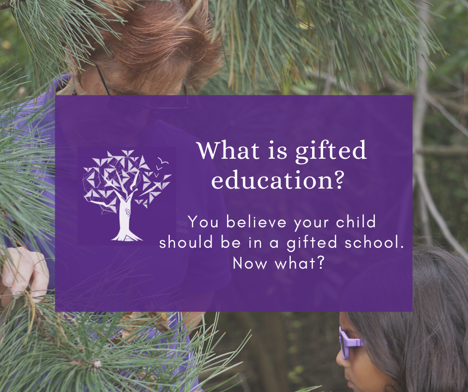 What is Gifted Education? You believe your child should be in a gifted school. Now what?