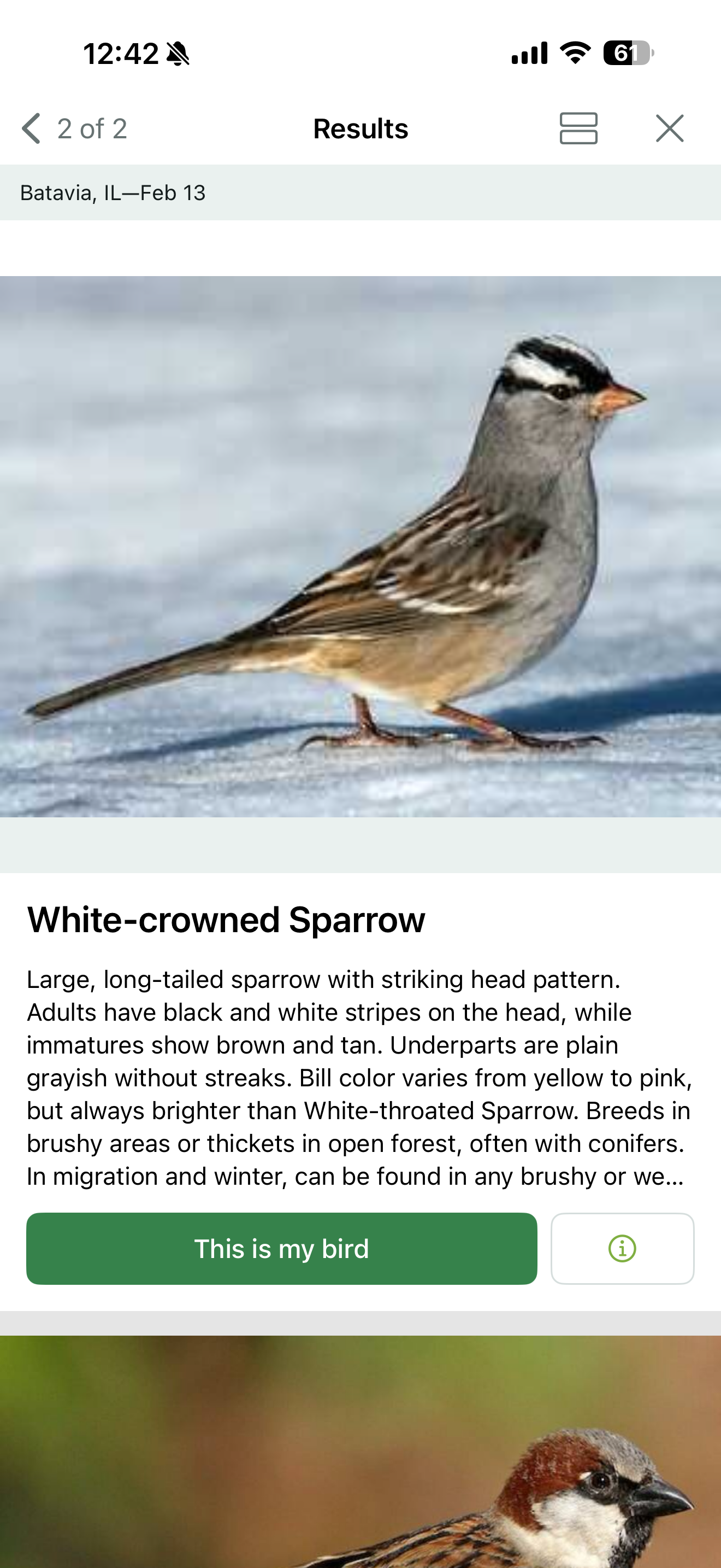 Beyond the Textbook: Vanguard Students Contribute to Global Science