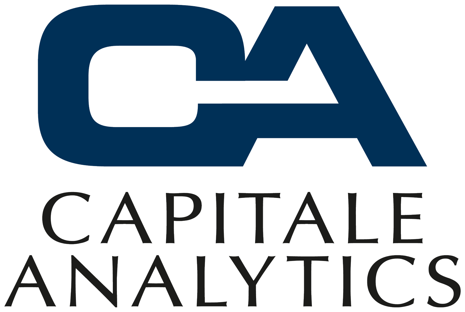 Capitale Analytics - Asset Valuation and Advisory