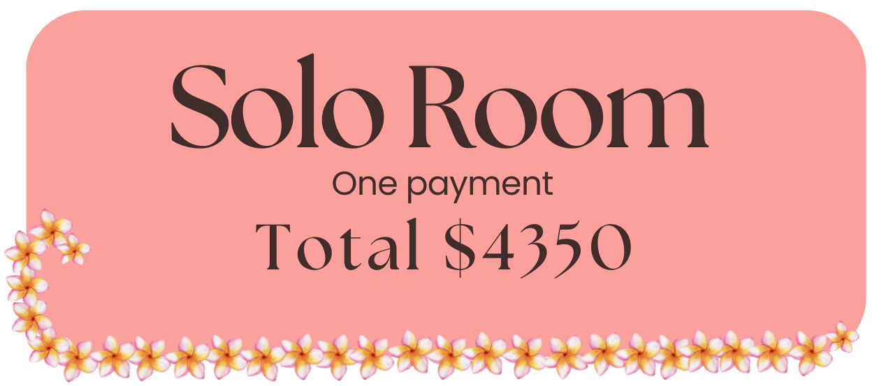 SOLO PAYPL new 13.10  2026 (2).png