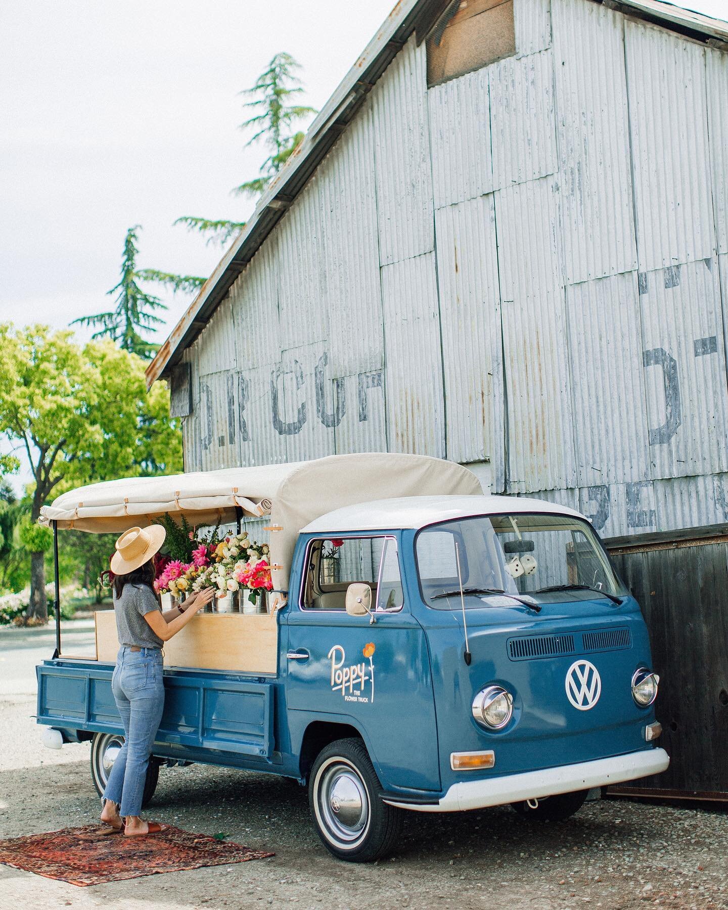 Roses and ranunculus and mums, oh my! We&rsquo;re back this Saturday at @storycoffeeco from 8-12! What&rsquo;s been your favorite flower on the truck lately?!