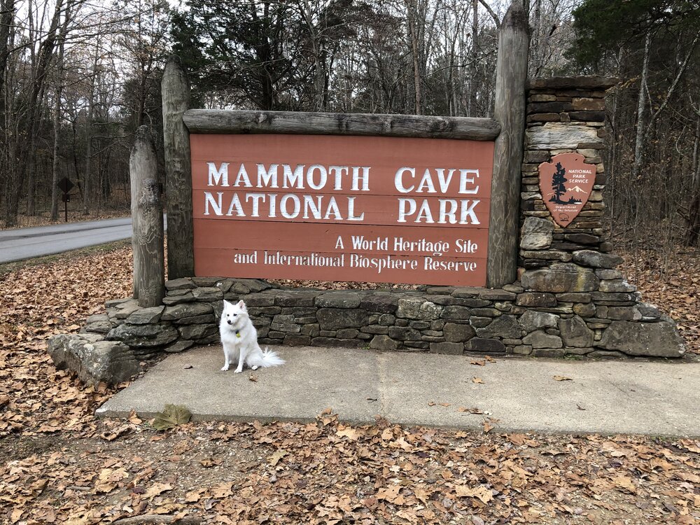 Mammoth Cave National Park — LYFE IN TOW