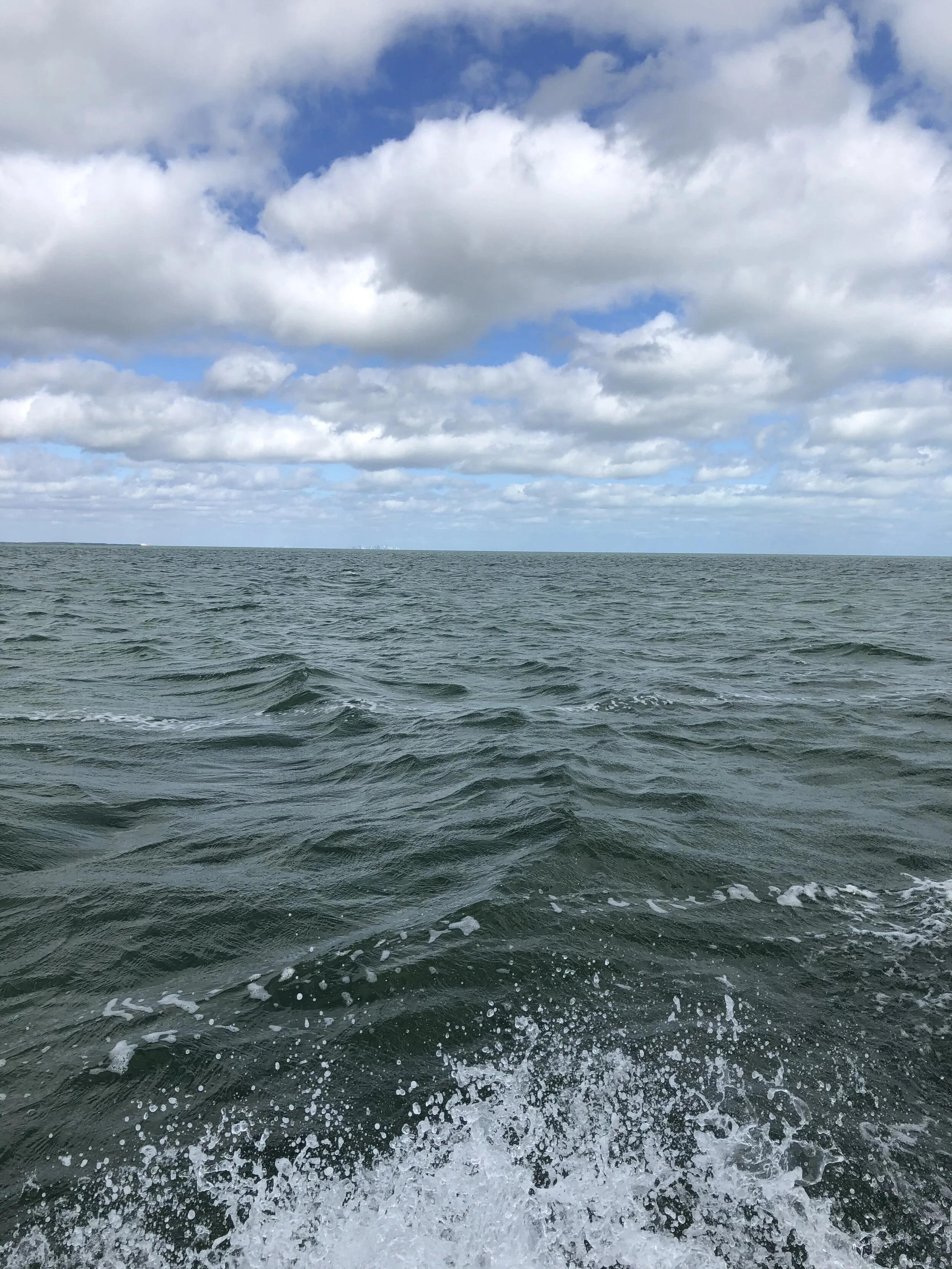 IMG_4787.jpeg