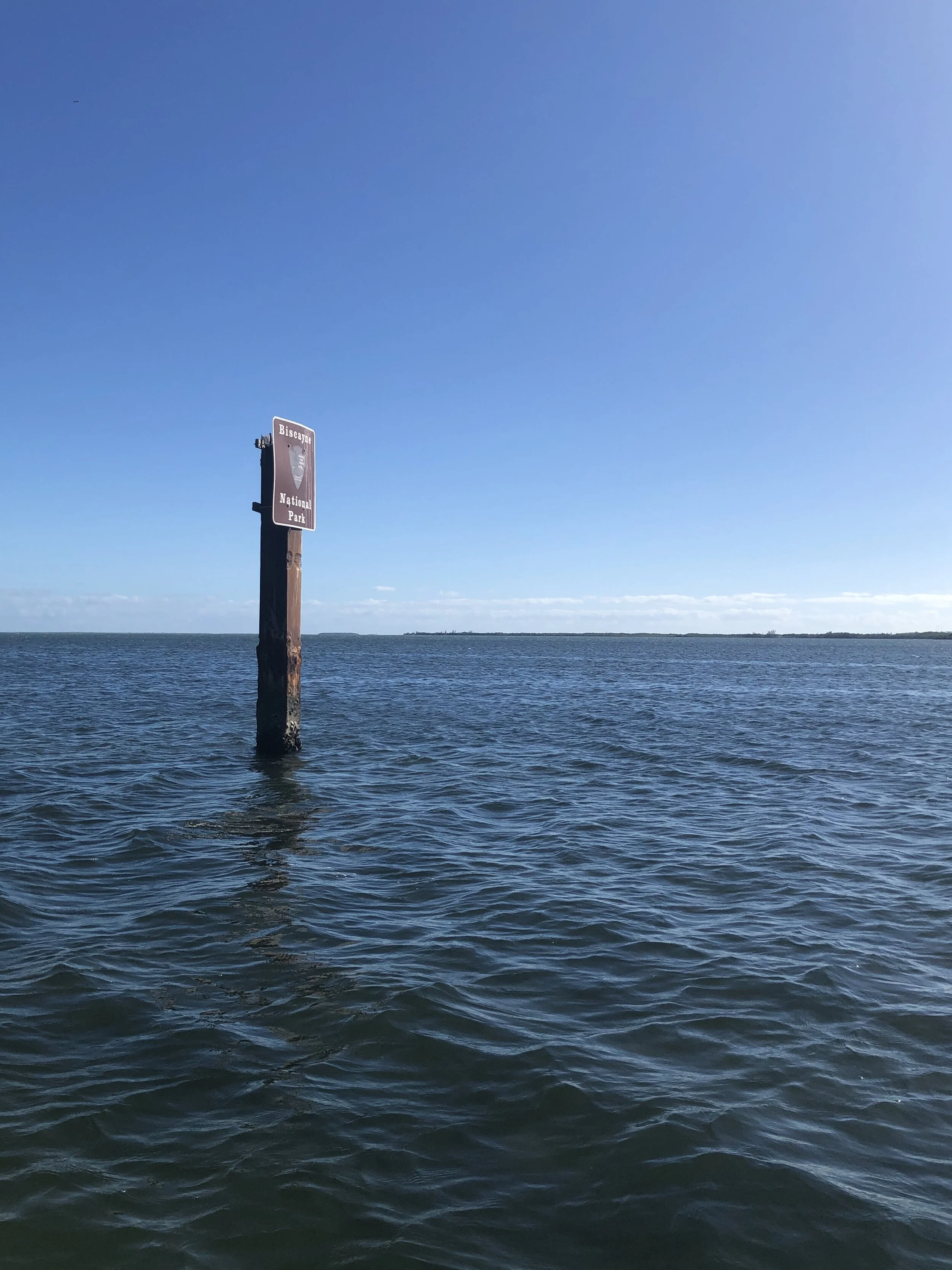 IMG_4807.jpeg