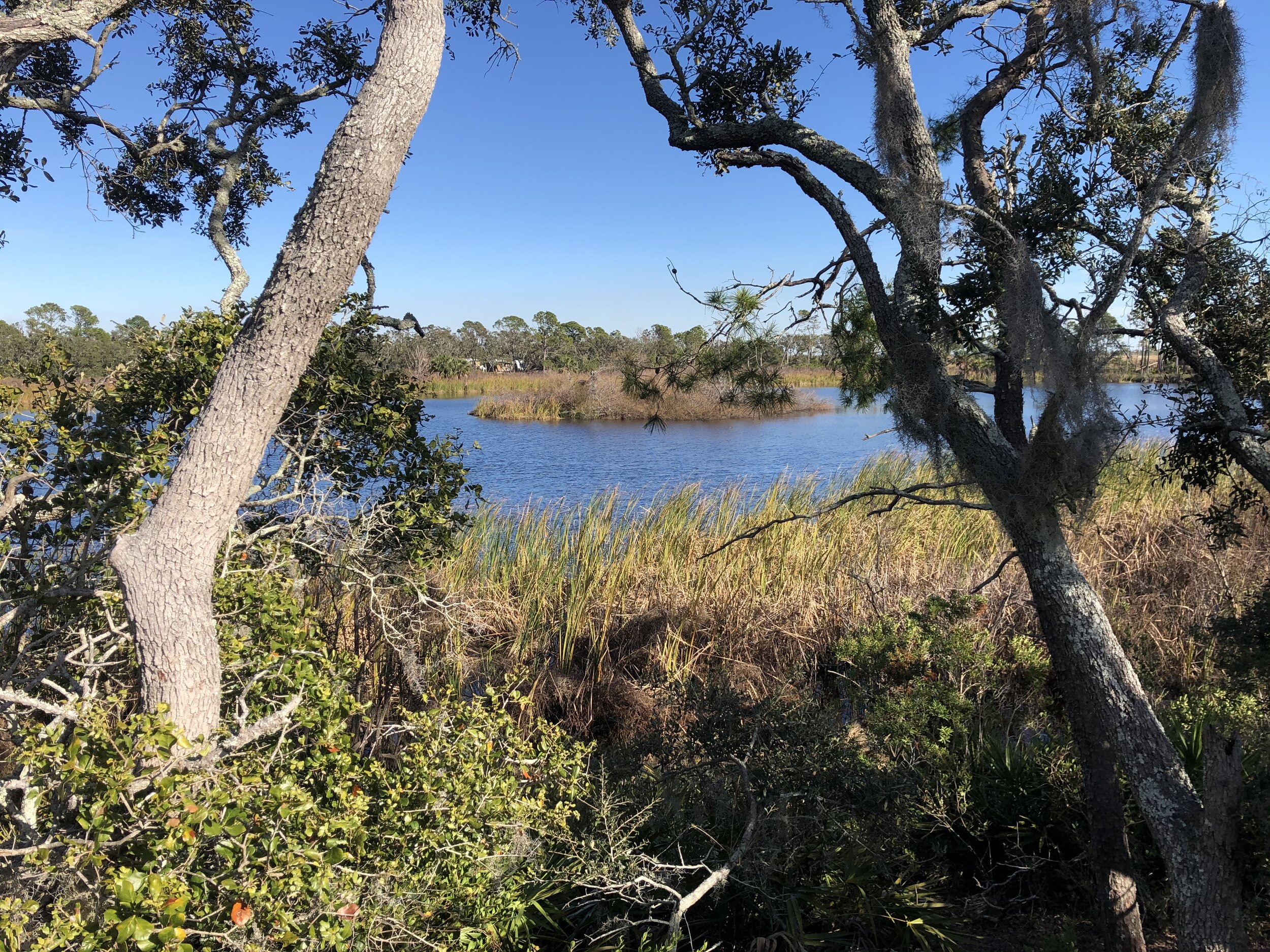 IMG_5366.jpeg