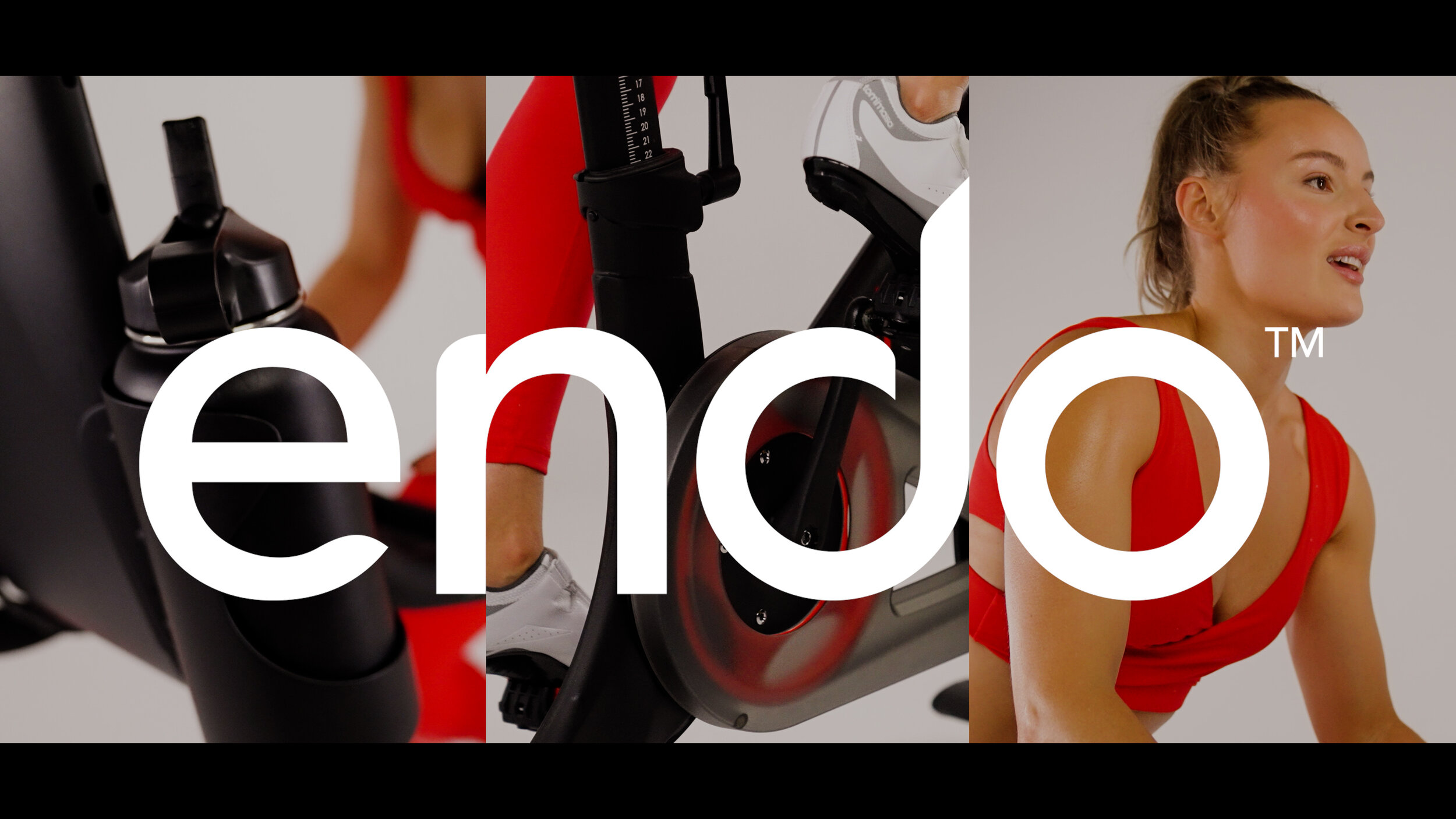 The Endo Frame
