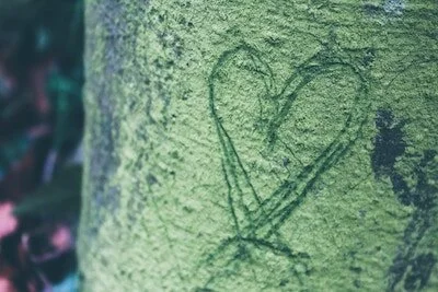 love heart on tree trunk small.jpg