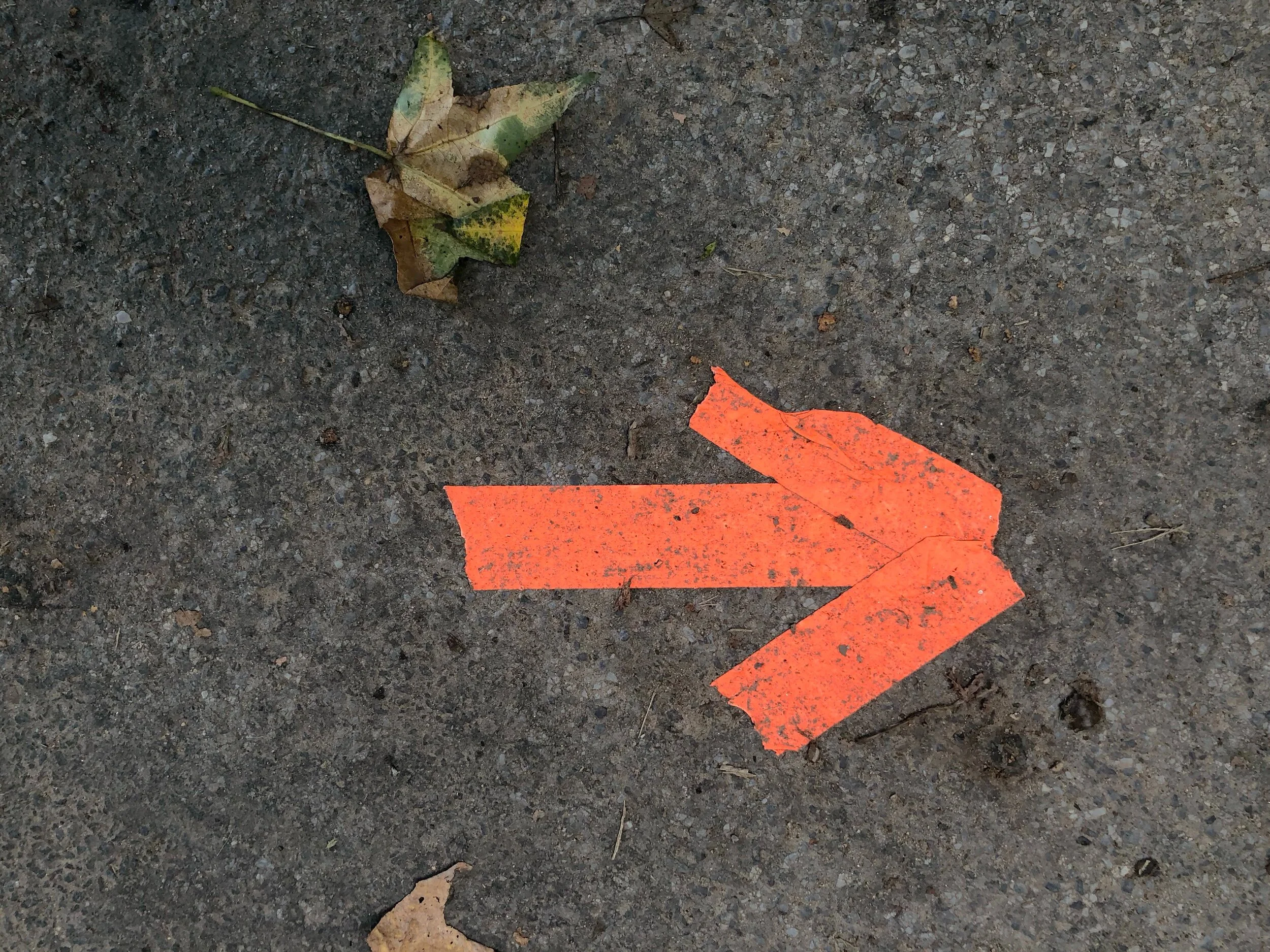 On gratitude and striving
