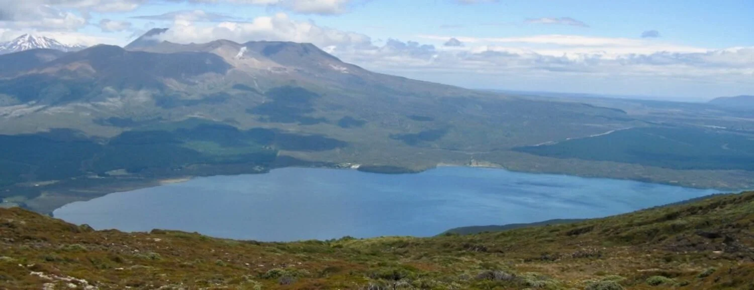 Tiaki i te Whenua….