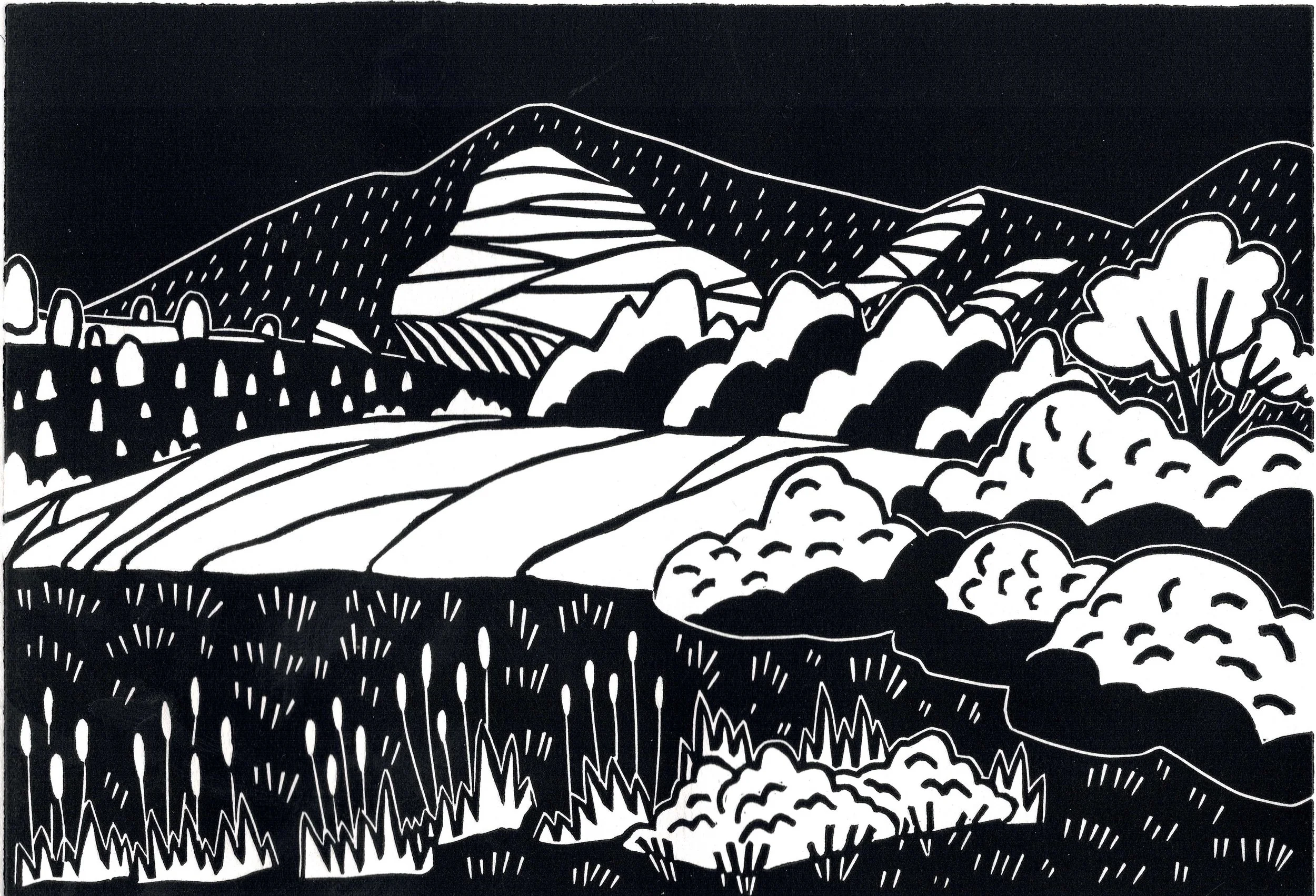 Morrison from the Reeds