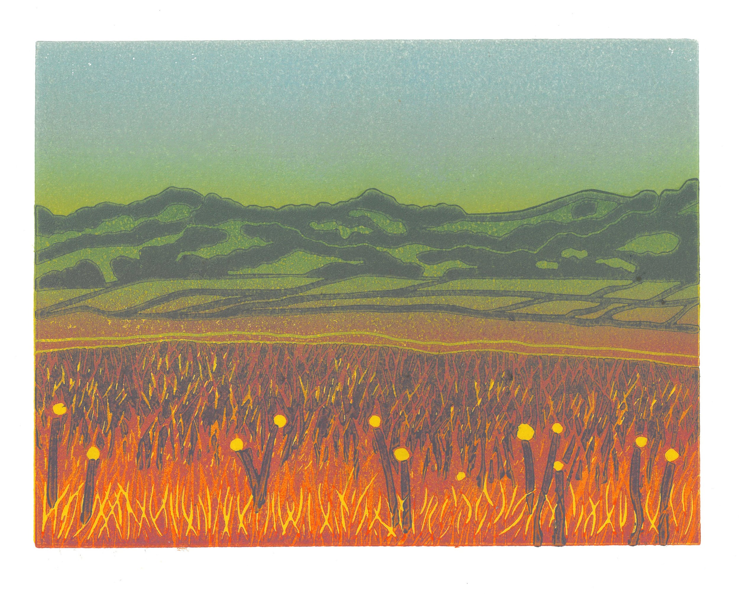 Northern California Field