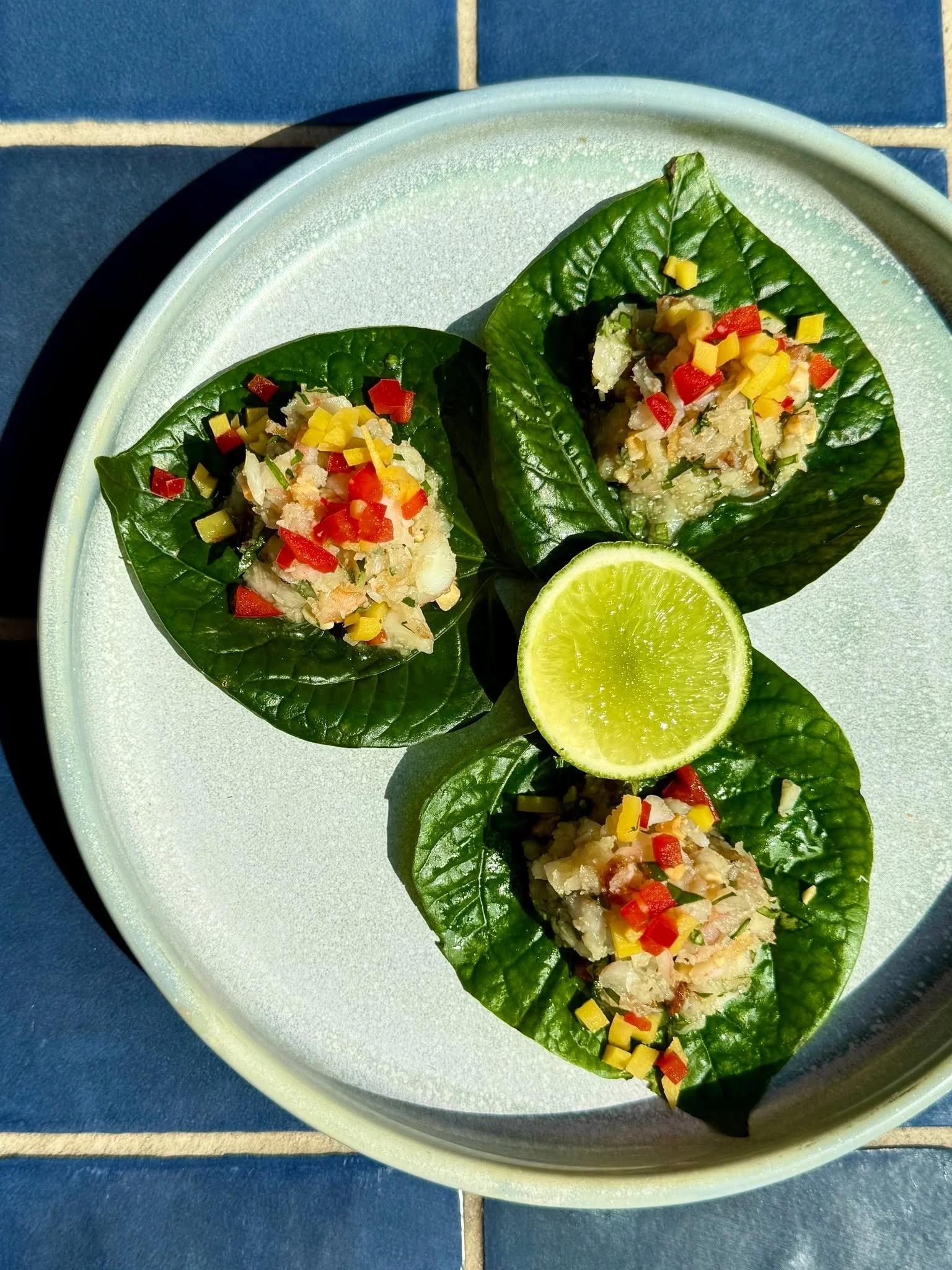 New dish alert: our Coconut Prawn Betel Leaves! 

Fresh prawns, Asian herbs, tangy tamarind, sweet mango and a sprinkle of crushed nuts come together in the perfect light, vibrant bite.

Pair them with a crisp riesling or an ice-cold beer - your tast