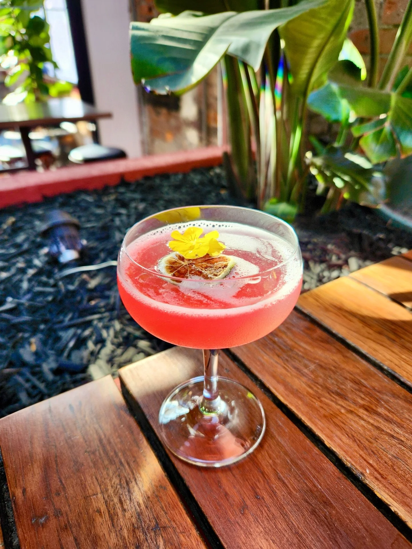 Our summer cocktails are a vibe!

Case in point: our Peach Fuzz, with vodka, peach schnapps, cranberry and a squeeze of lime. It&rsquo;s fresh, juicy and dangerously easy to drink.

Round up your mates, grab a seat in the courtyard and soak it up!