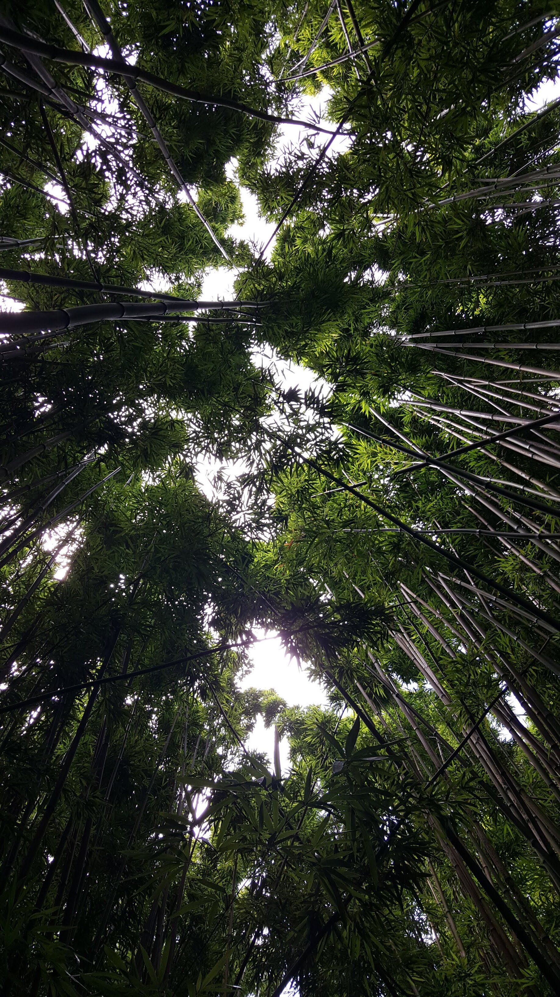 20190721_110829.jpg