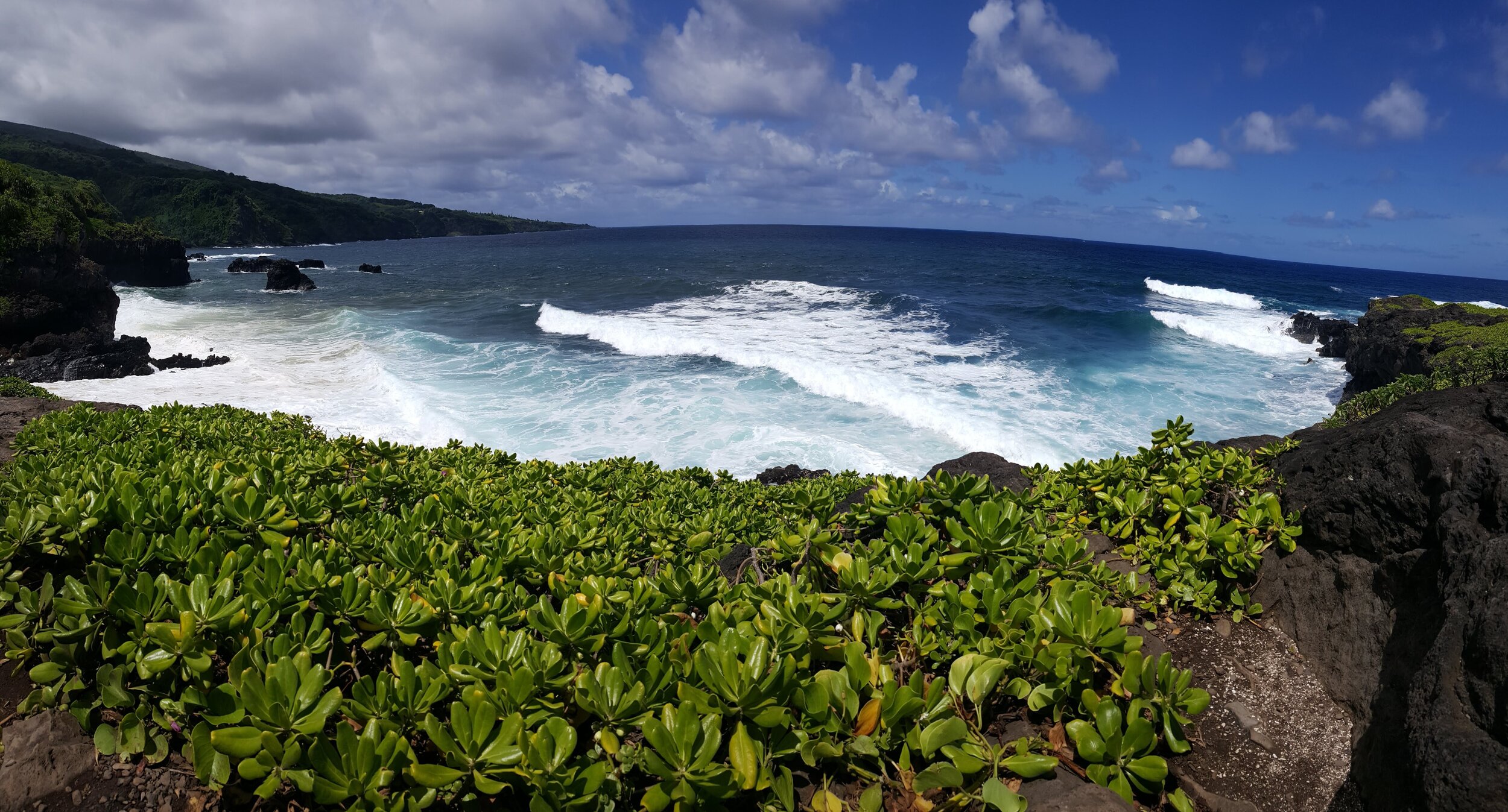 20190721_141057.jpg