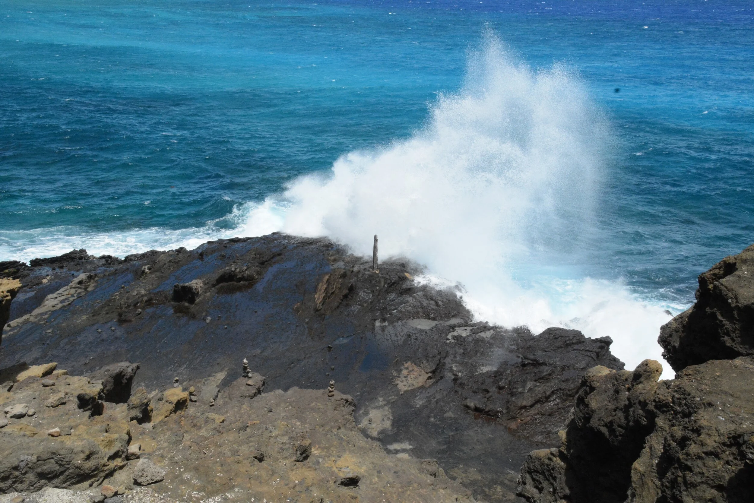 DSC_1318a.jpg