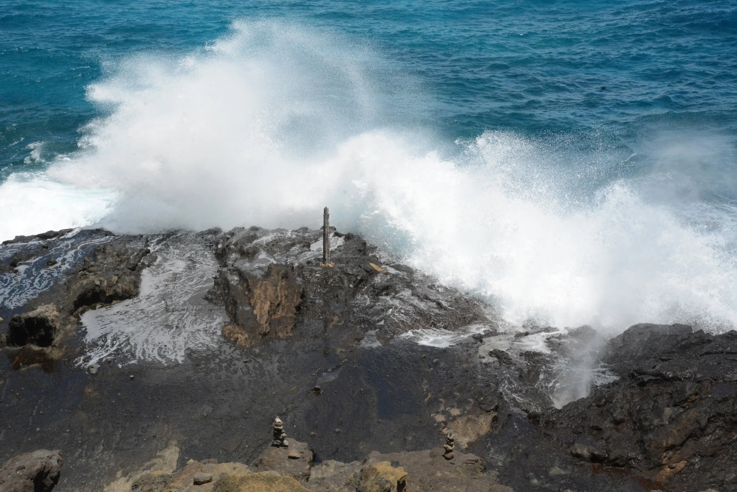 DSC_1348a.jpg