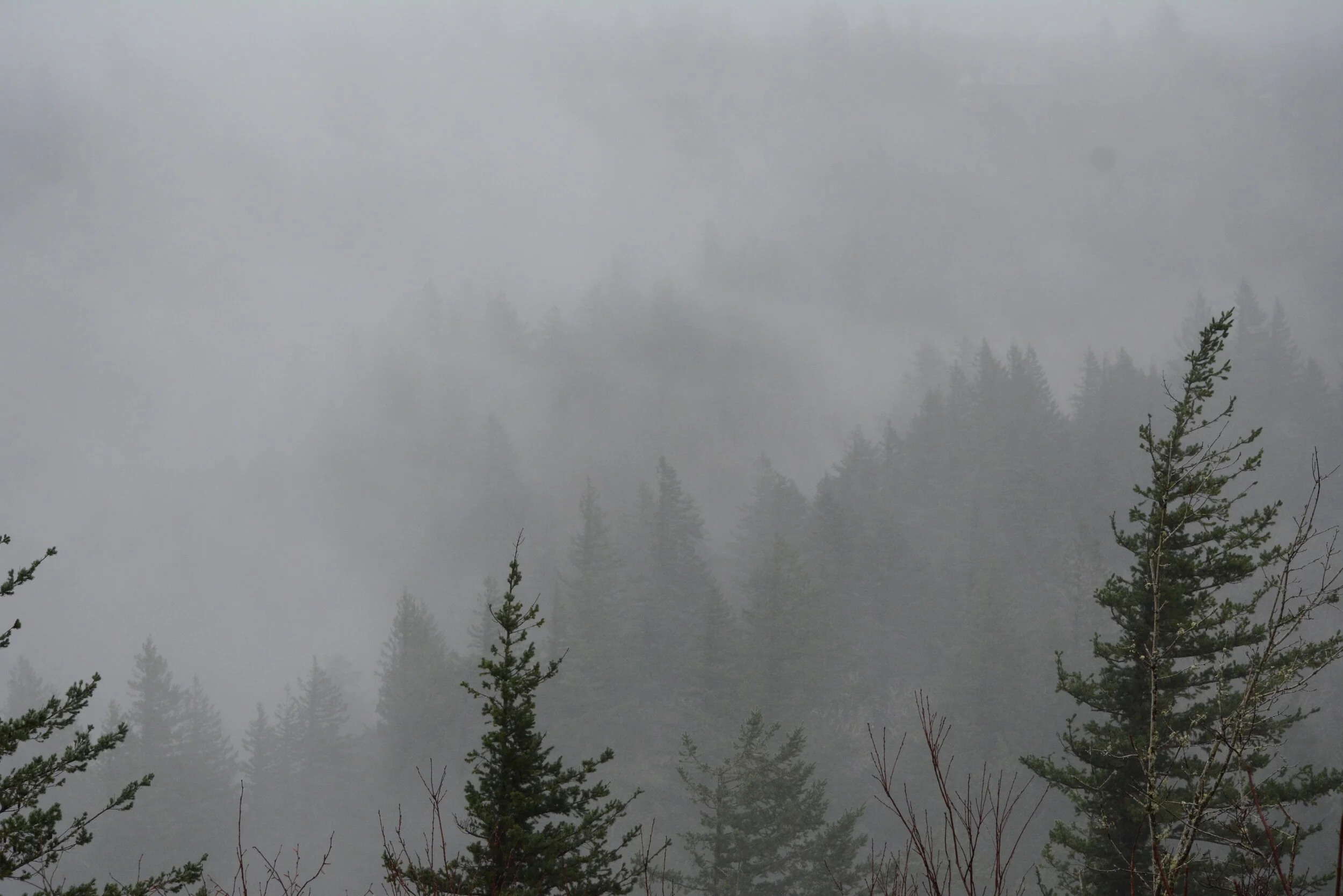 DSC_7509.JPG