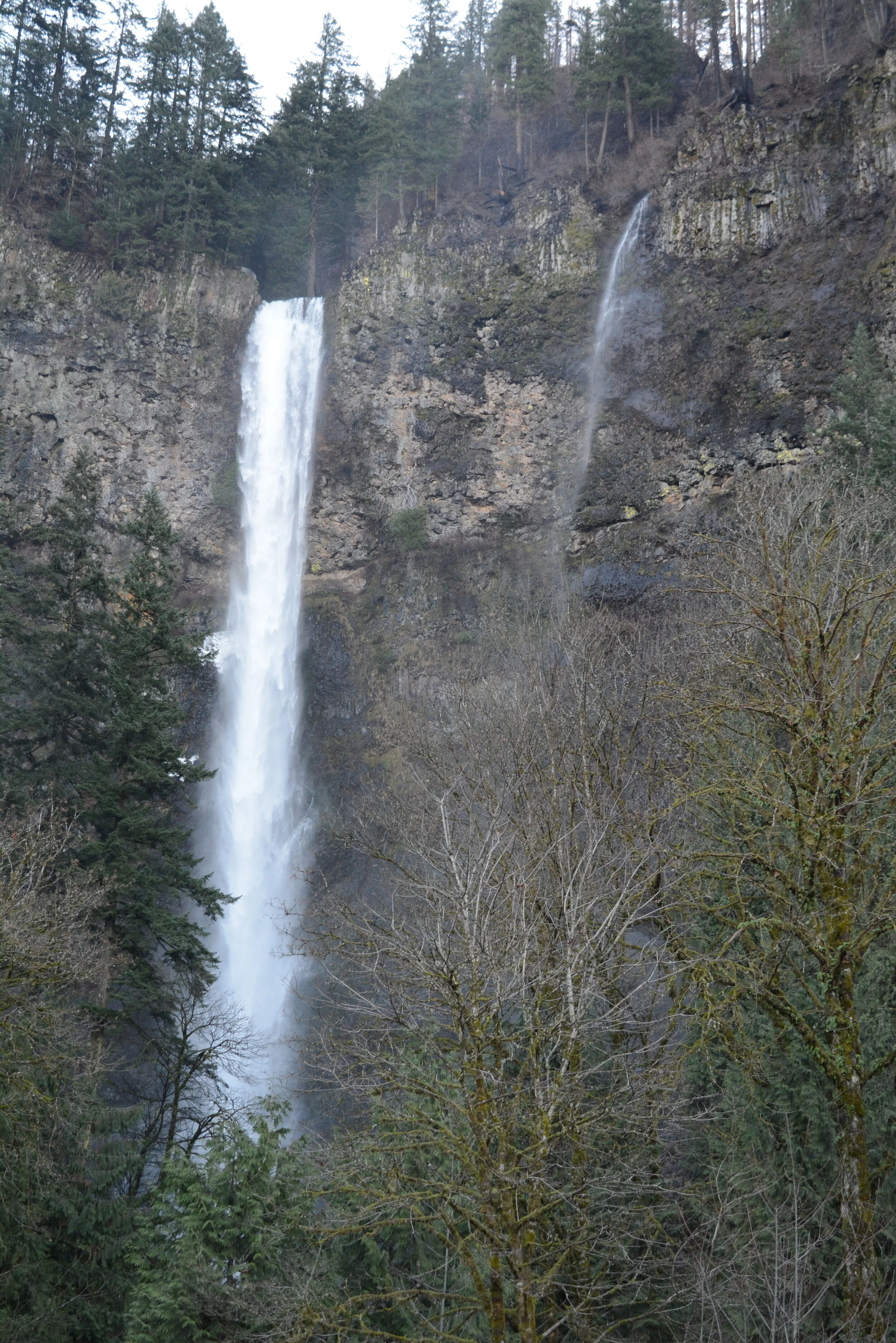 DSC_7738.JPG