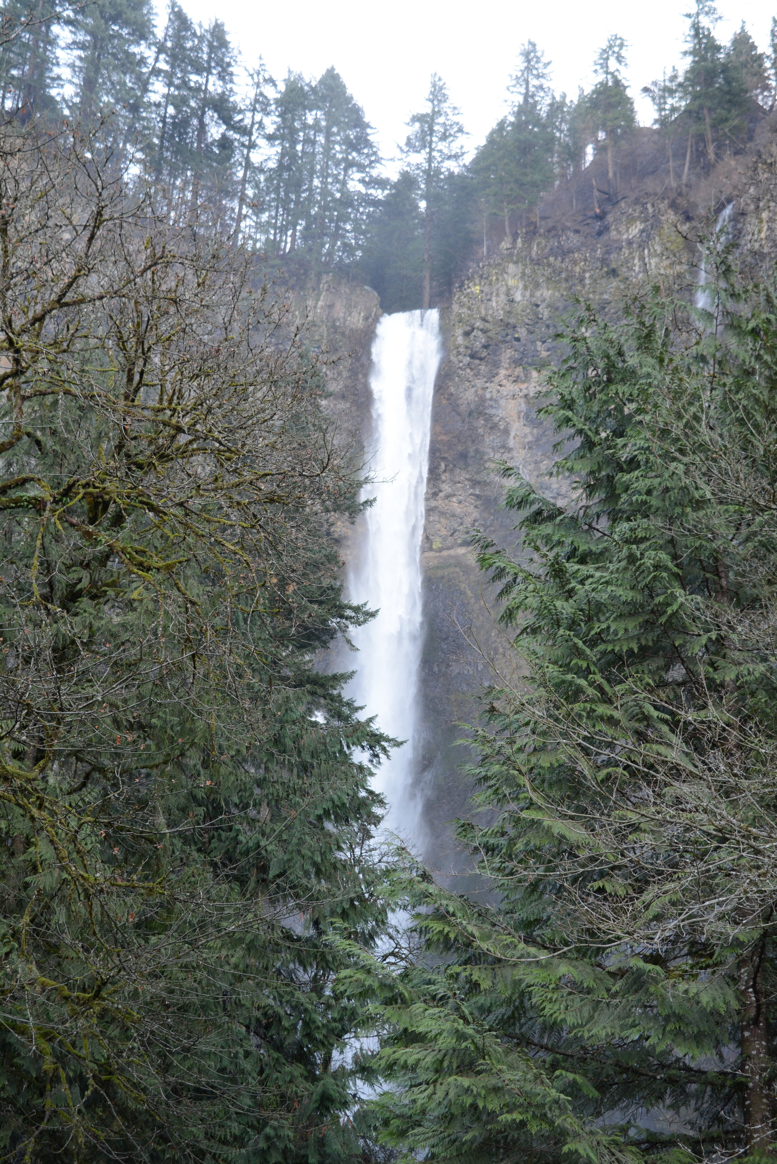DSC_7751.JPG
