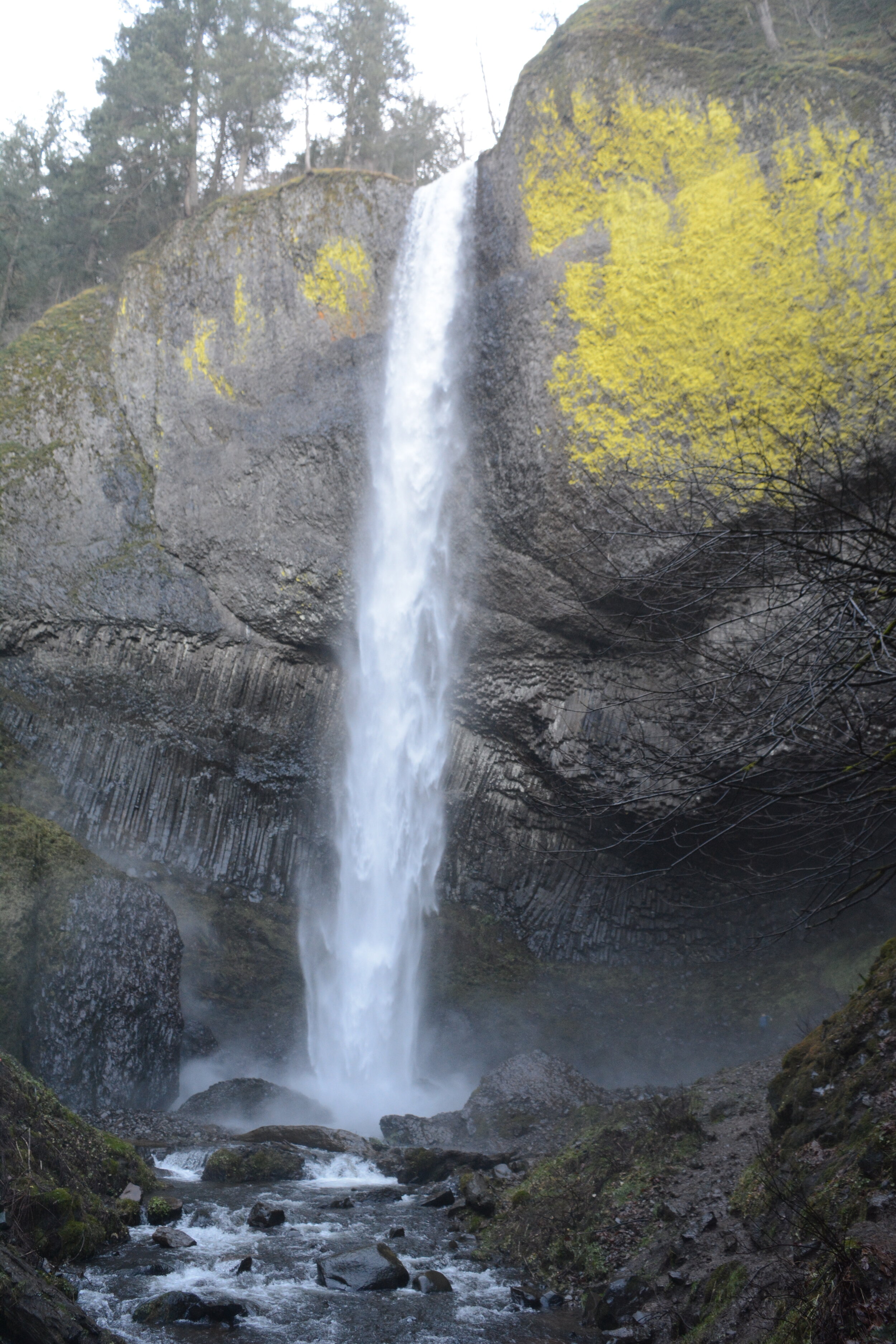 DSC_7794.JPG
