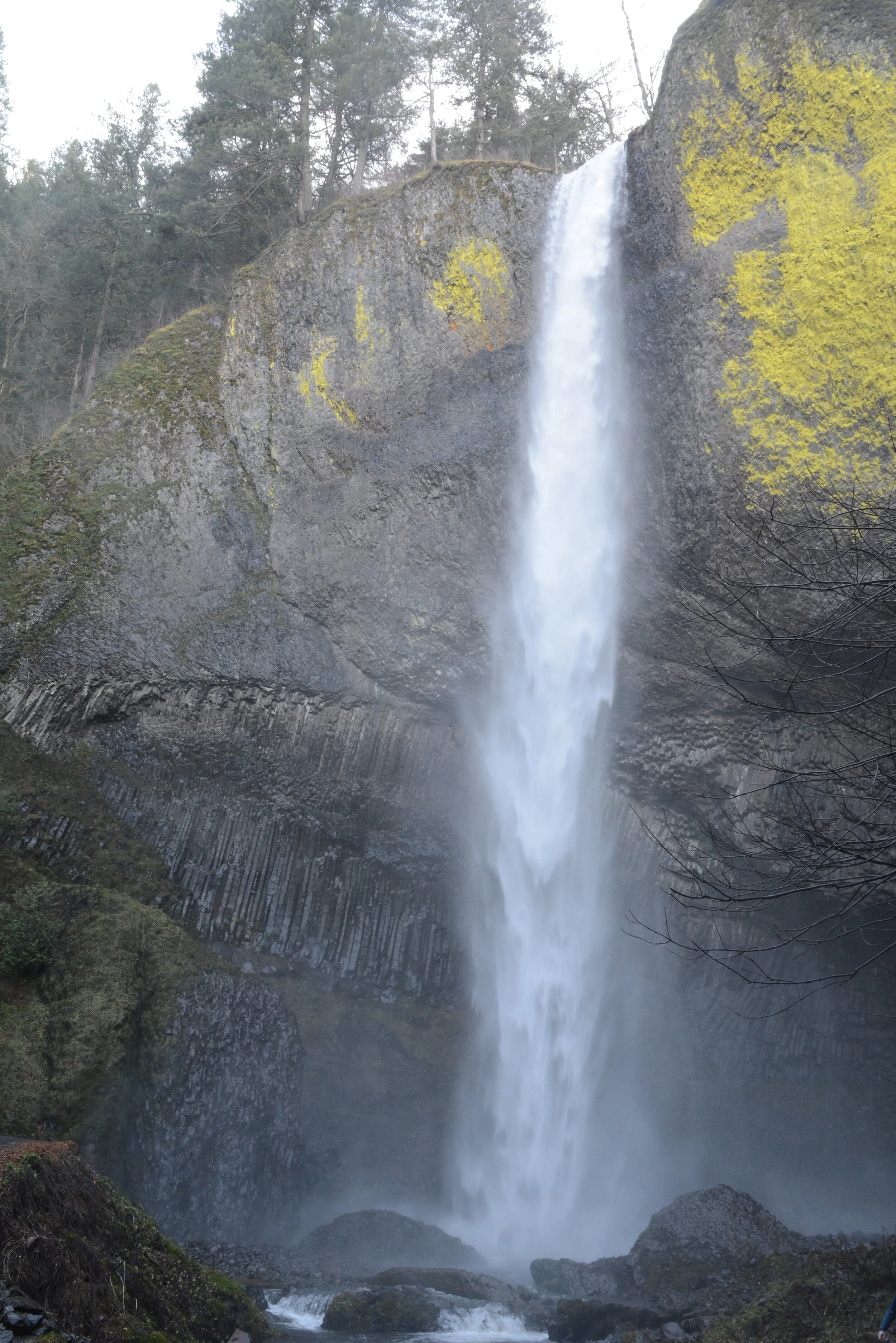 DSC_7796.JPG