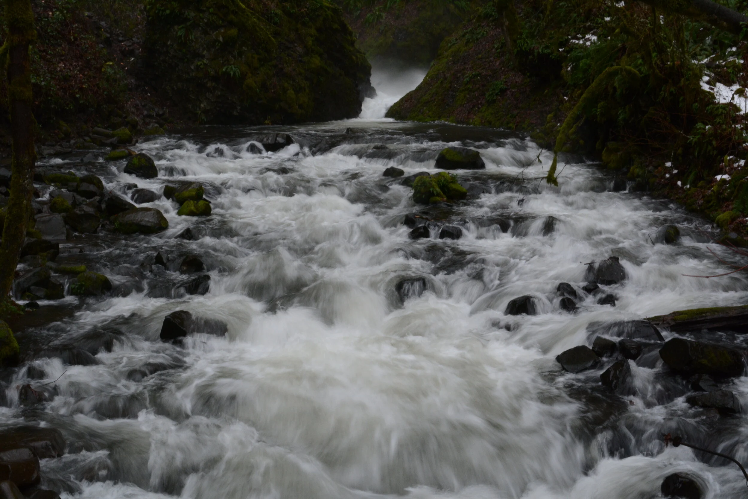 DSC_7572.JPG