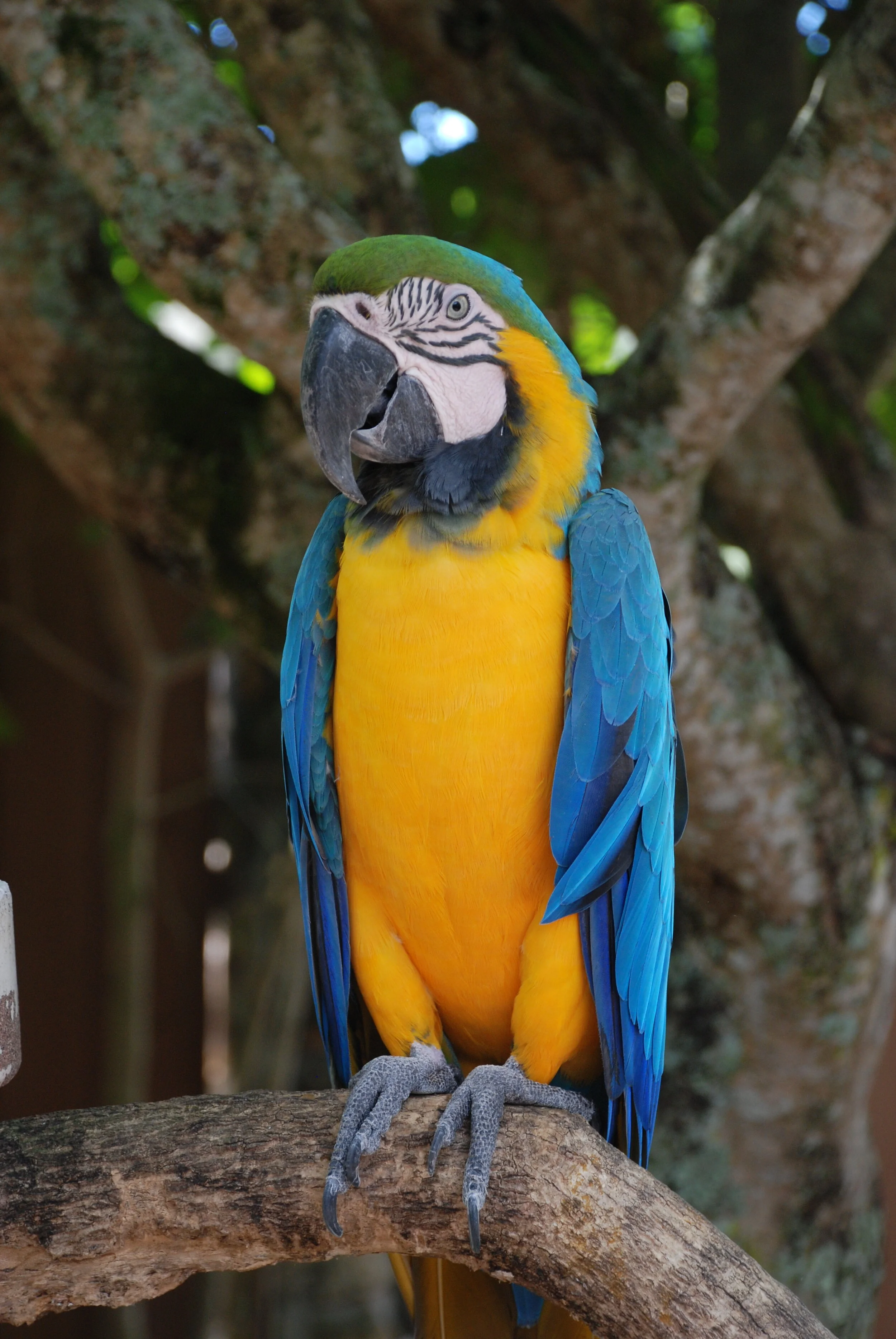 Disney Cruise 2013 390.JPG