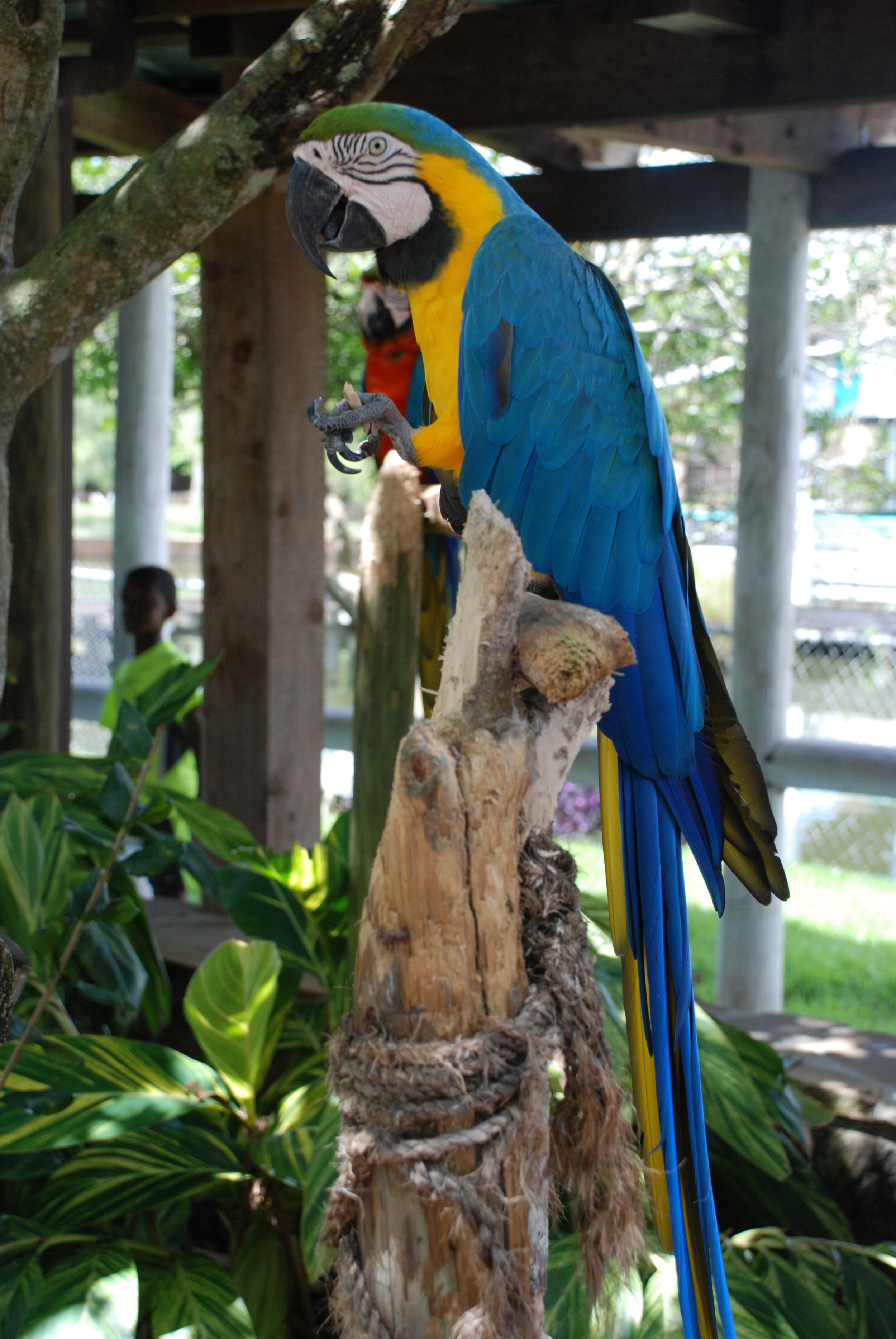 Disney Cruise 2013 389.JPG