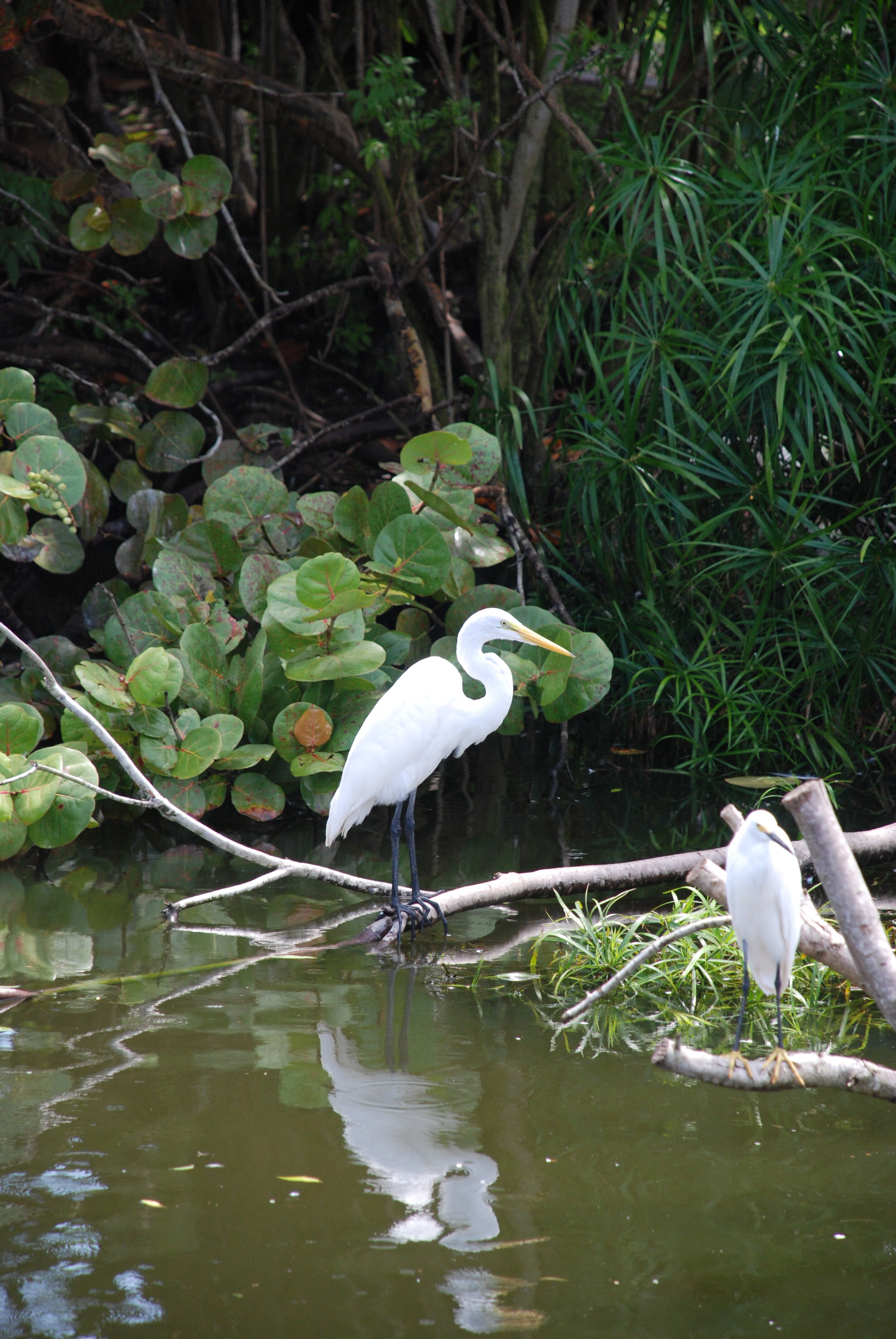 Disney Cruise 2013 418.JPG