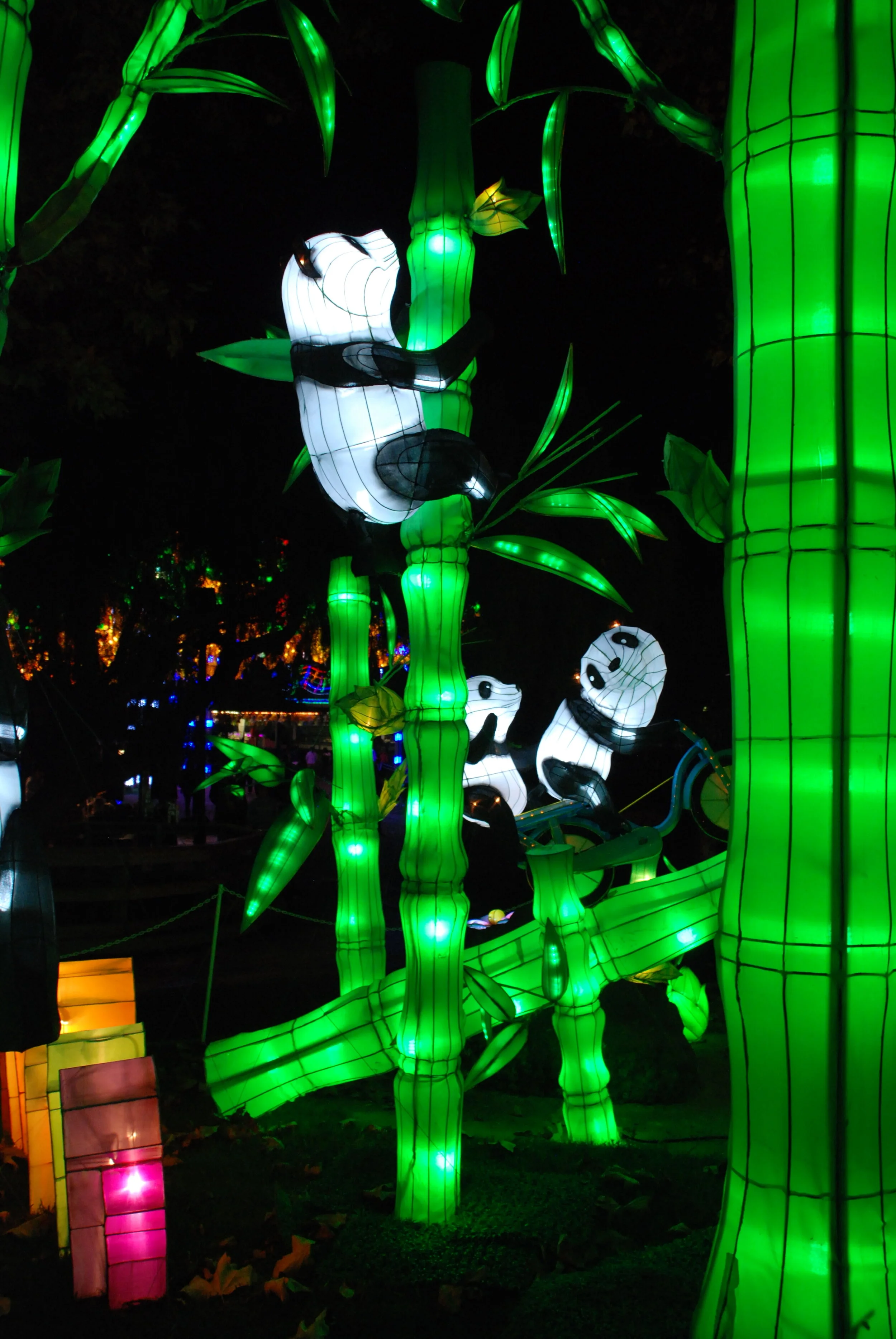 GWW 2012 165.jpg