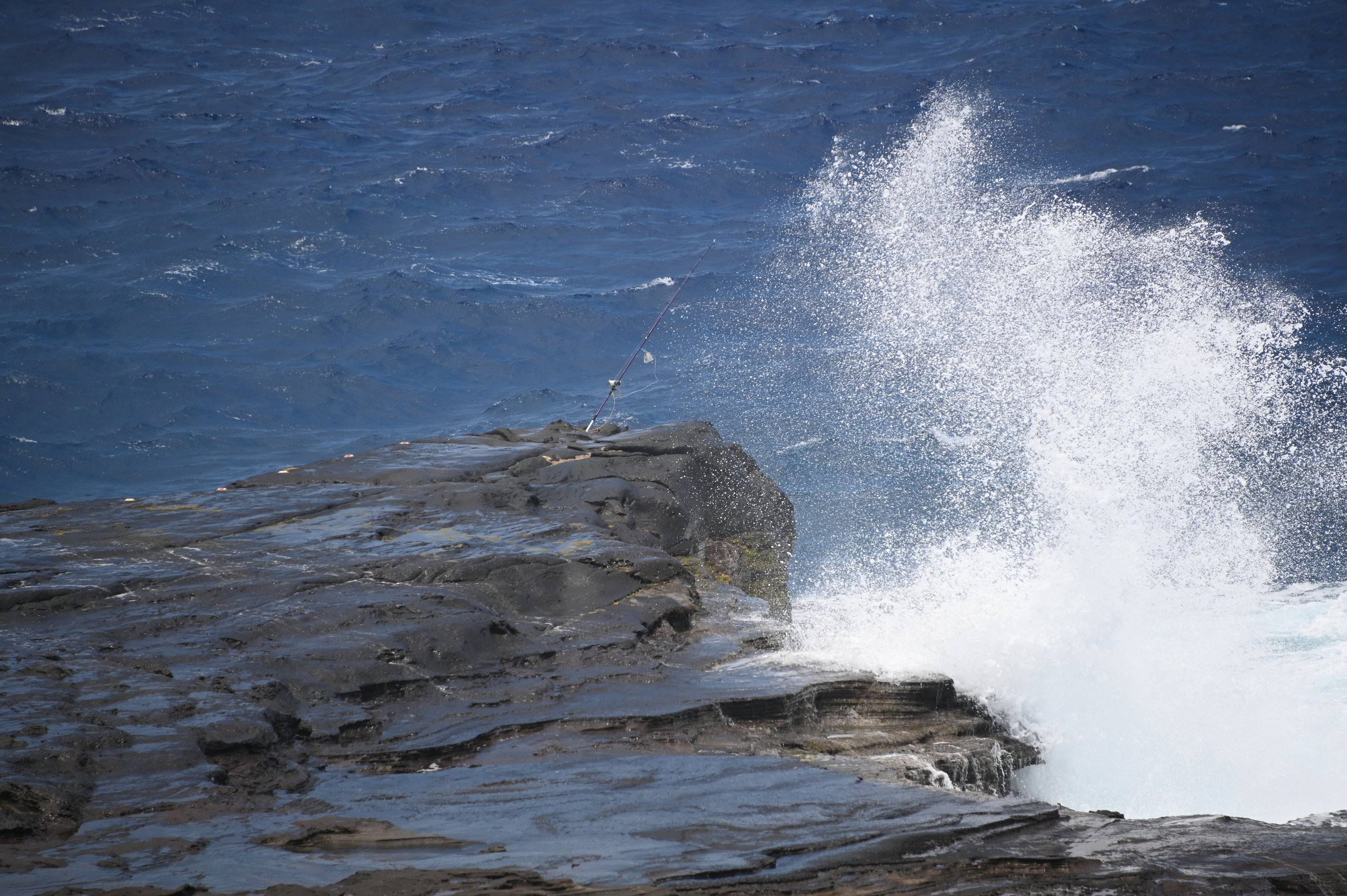 DSC_1869.jpg