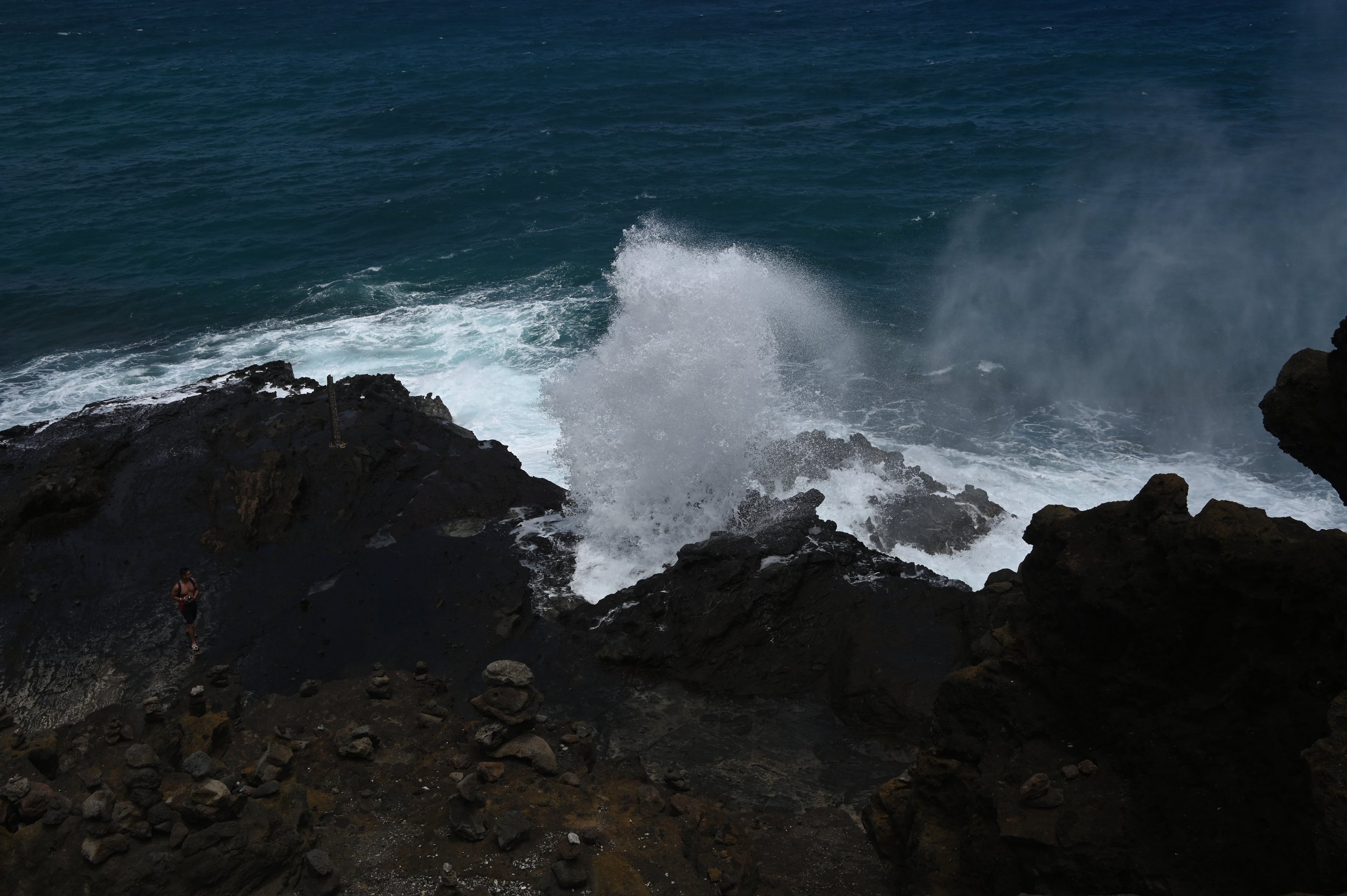 DSC_1900.jpg