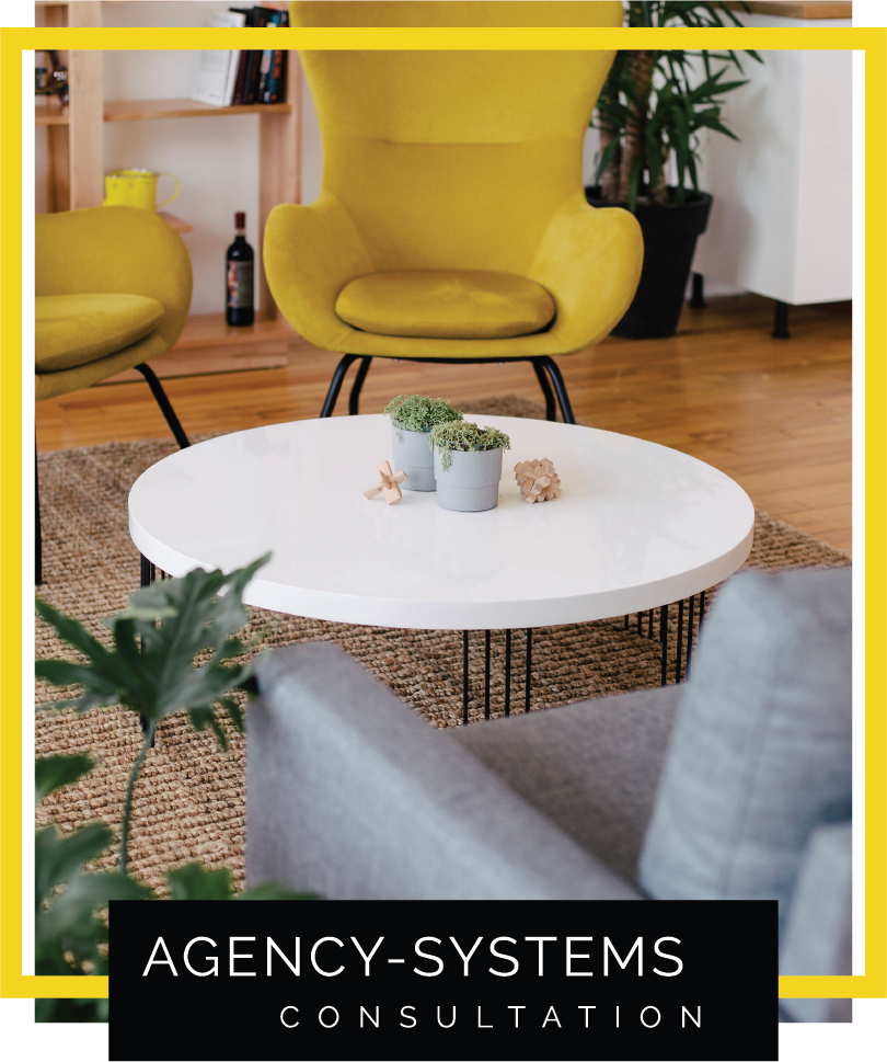 AgencySystems2.png