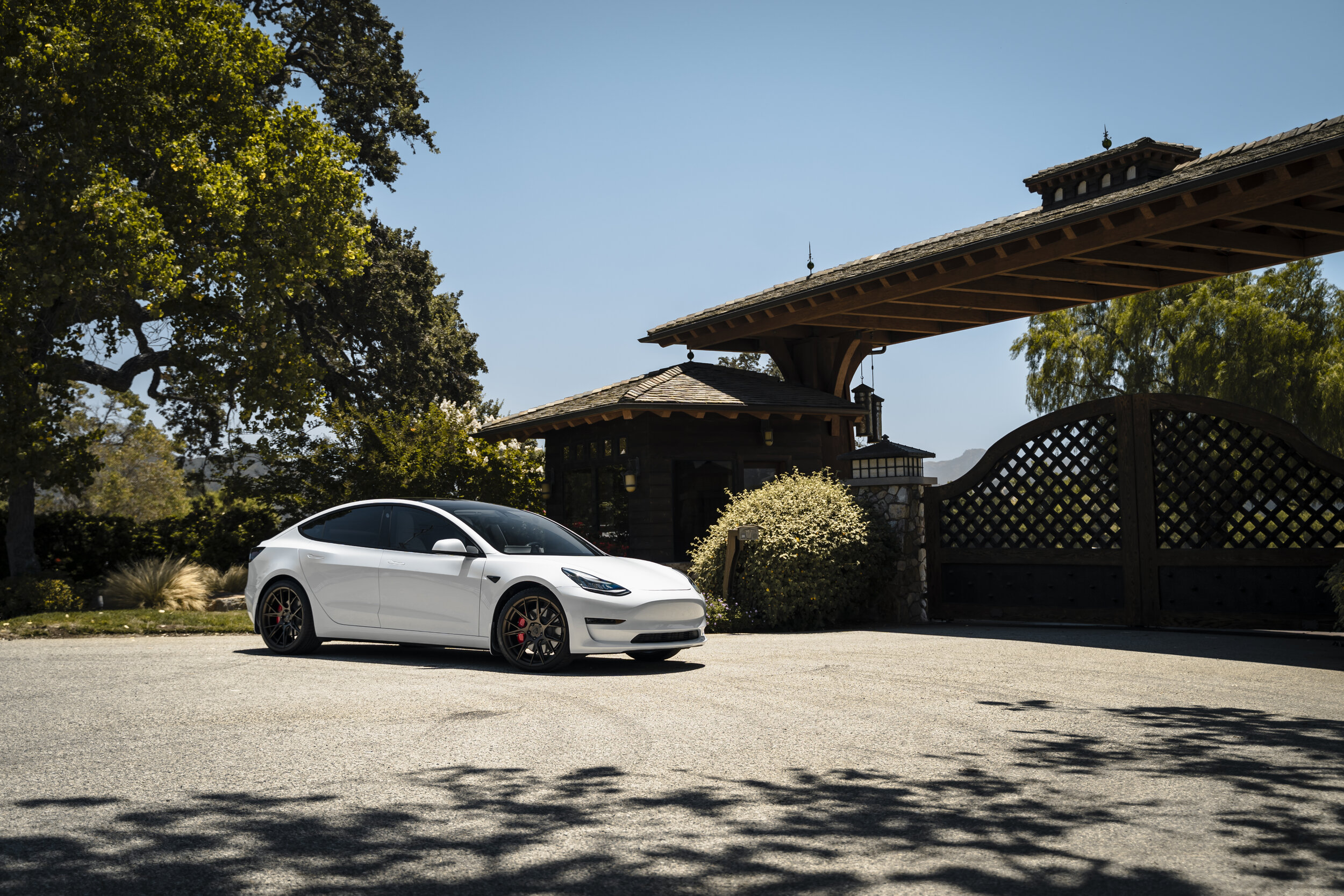 2019_Tesla_Model_3_BDF18_Antique_Matte_Bronze_5.jpg