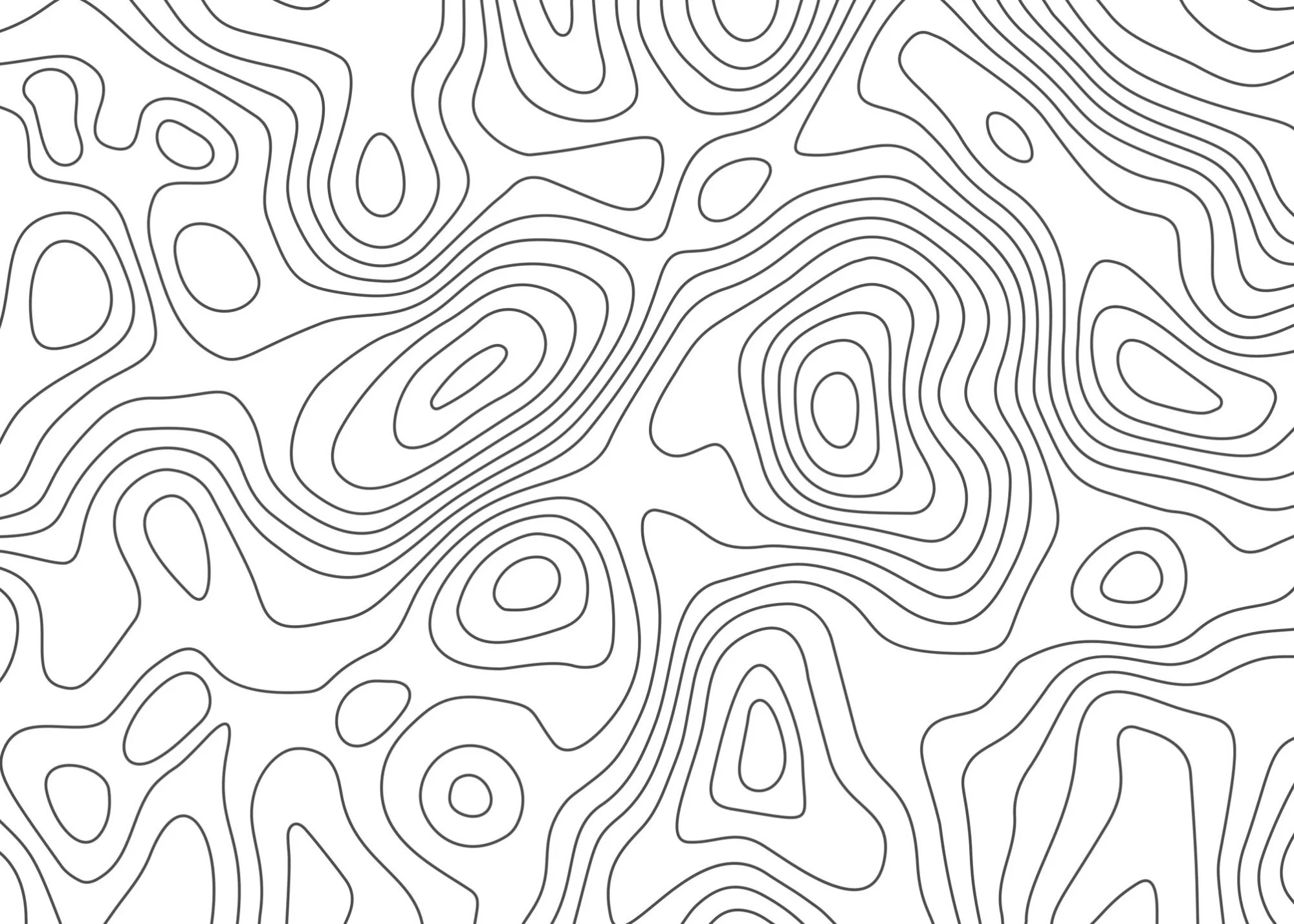 e33b6a61803fdc61fe544974046cff7a.jpg