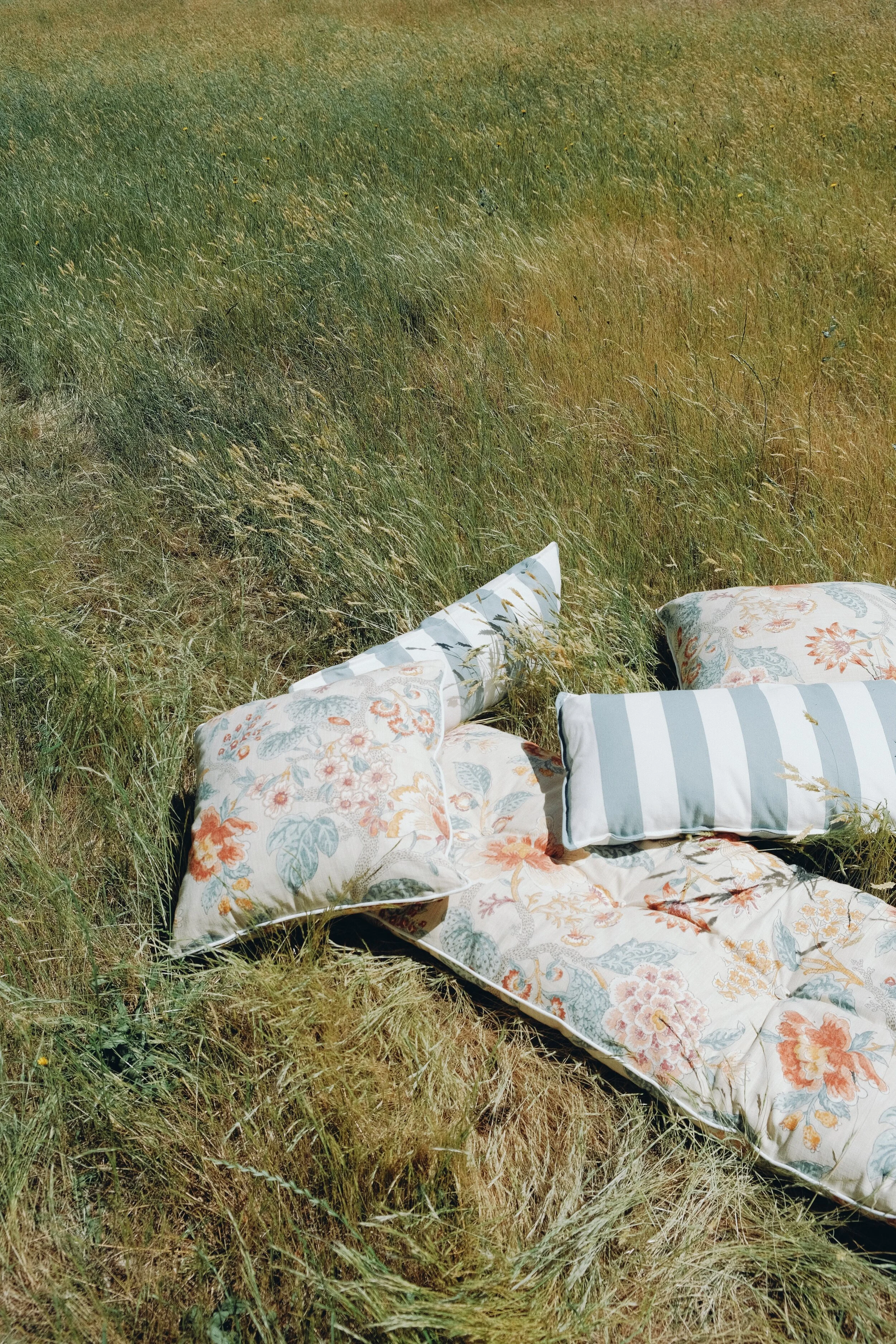 RNI-Films-IMG-1D953086-3054-4499-BE26-0FC9EA75FC6C 3.JPG