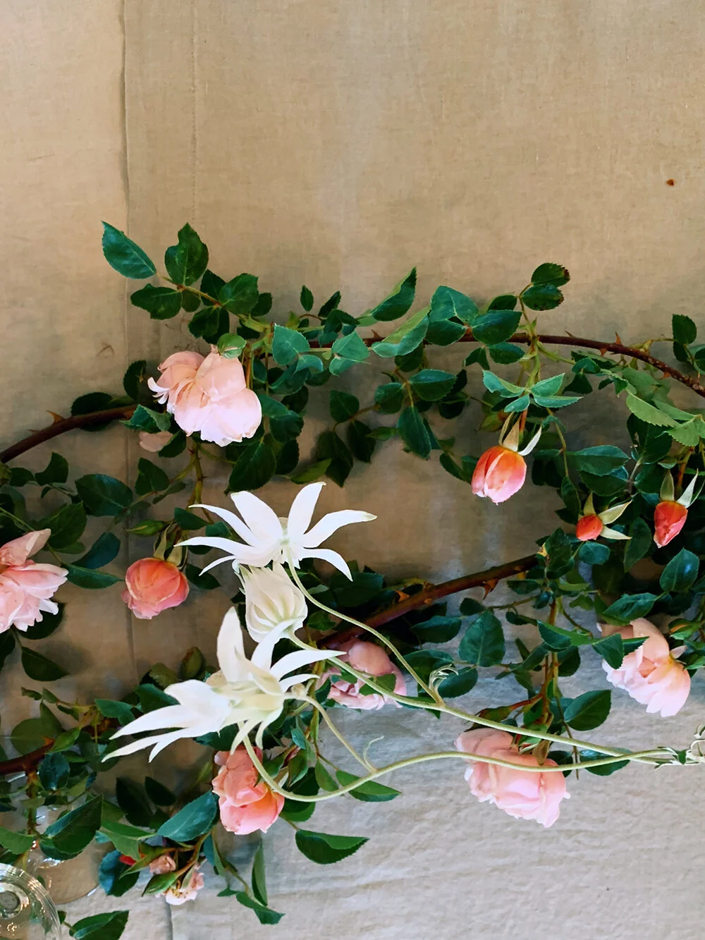 RNI-Films-IMG-052B0FC9-7649-41A4-98F7-0D45AD1C4BB3 2.JPG