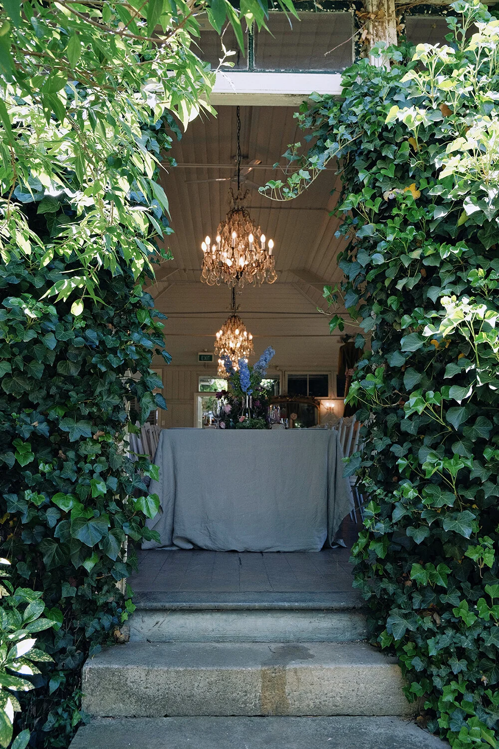 RNI-Films-IMG-2515AC03-53CC-4F4A-ACF7-A7F1C787DC8B 2.JPG