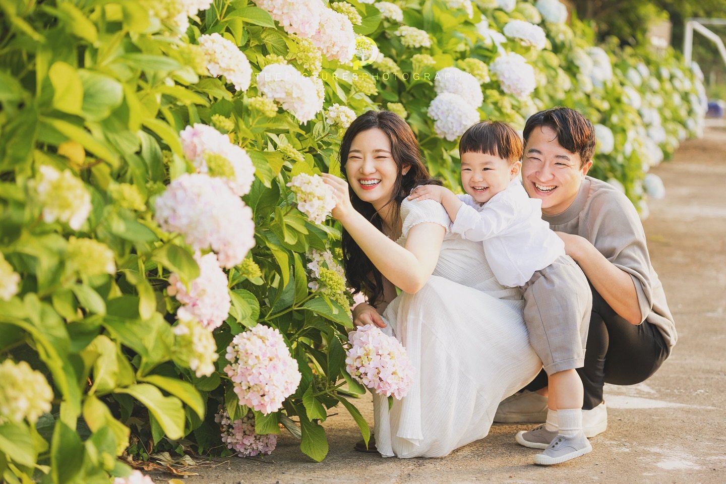 더픽처스 제주스냅
 
 
사계절 아름다운 제주에서 제주예쁨 가득한 소중한 순간을 담아드려요.🙂
For your precious memory in beautiful Jeju
 
 
■촬영상품 Plan
프리미엄 5hr(5장소)
어드밴스+ 3hr(3장소)
어드밴스 2hr(2장소)
베이직 1hr(1장소)
앨범과 액자는 옵션으로 추가하실 수 있어요~
 
 
■촬영무