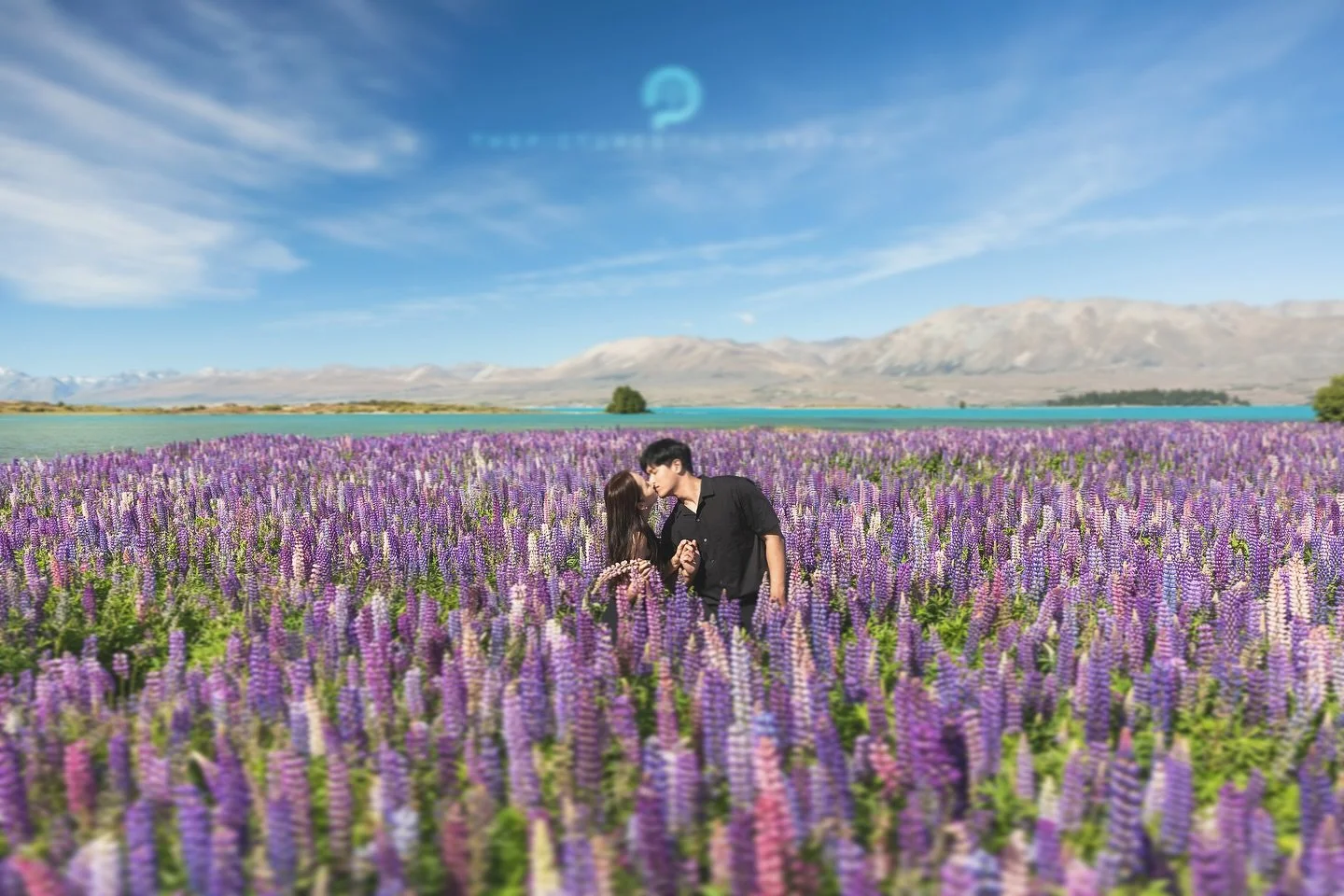 더픽처스 뉴질랜드스냅
 
 
판타지가 현실이 되는 아름다운 뉴질랜드에서 주인공이 되어보세요.😆
 
더픽처스의 뉴질랜드스냅은 판타지의 나라 뉴질랜드 남섬의 캔터베리(테카포, 푸카키, 마운트쿡)지역과 오타고(퀸스타운, 와나카, 글레노키)지역에서 스냅사진과 스냅영상을 촬영합니다.

📮촬영문의는 프로필의 카카오톡 링크로 주세요~
 
 
■촬영일정 Schedule
26년