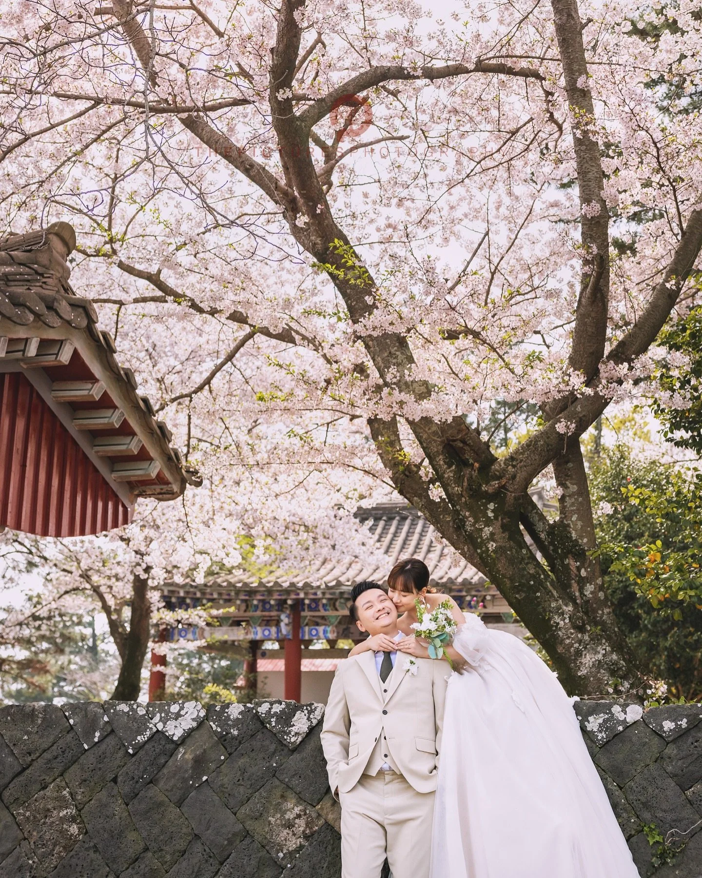 더픽처스 제주스냅
 
 
더픽처스의 제주스냅은 사계절 아름다운 제주에서 여러분의 소중한 순간을 사진과 영상으로 촬영하고 있습니다.

📮촬영문의는 프로필의 카카오톡링크로 주세요🙏

For your precious memory in beautiful Jeju‼️
ThePictures Photography is taking photo and video of special memories of wedding, family, fr