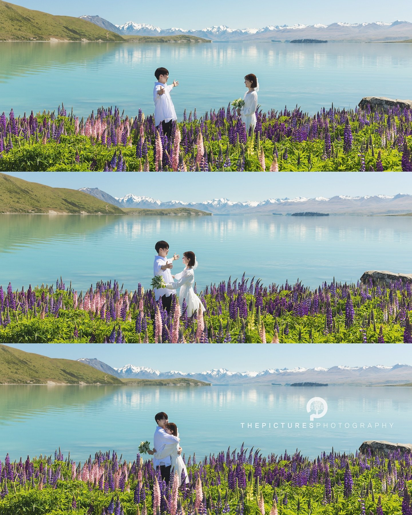 더픽처스 뉴질랜드스냅
 
 
판타지가 현실이 되는 아름다운 뉴질랜드에서 주인공이 되어보세요.😆
 
더픽처스의 뉴질랜드스냅은 판타지의 나라 뉴질랜드 남섬의 캔터베리(테카포, 푸카키, 마운트쿡)지역과 오타고(퀸스타운, 와나카, 글레노키)지역에서 스냅사진과 스냅영상을 촬영합니다.

📮촬영문의는 프로필의 카카오톡 링크로 주세요~
 
 
■촬영일정 Schedule
26년