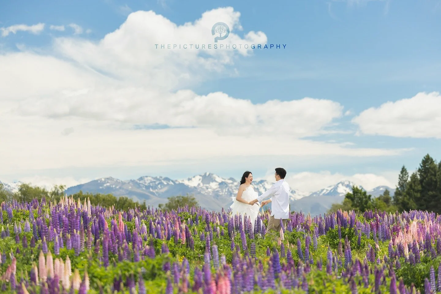 더픽처스 뉴질랜드스냅
 
 
판타지가 현실이 되는 아름다운 뉴질랜드에서 주인공이 되어보세요.😆
 
더픽처스의 뉴질랜드스냅은 판타지의 나라 뉴질랜드 남섬의 캔터베리(테카포, 푸카키, 마운트쿡)지역과 오타고(퀸스타운, 와나카, 글레노키)지역에서 스냅사진과 스냅영상을 촬영합니다.

📮촬영문의는 프로필의 카카오톡 링크로 주세요~
 
 
■촬영일정 Schedule
26년