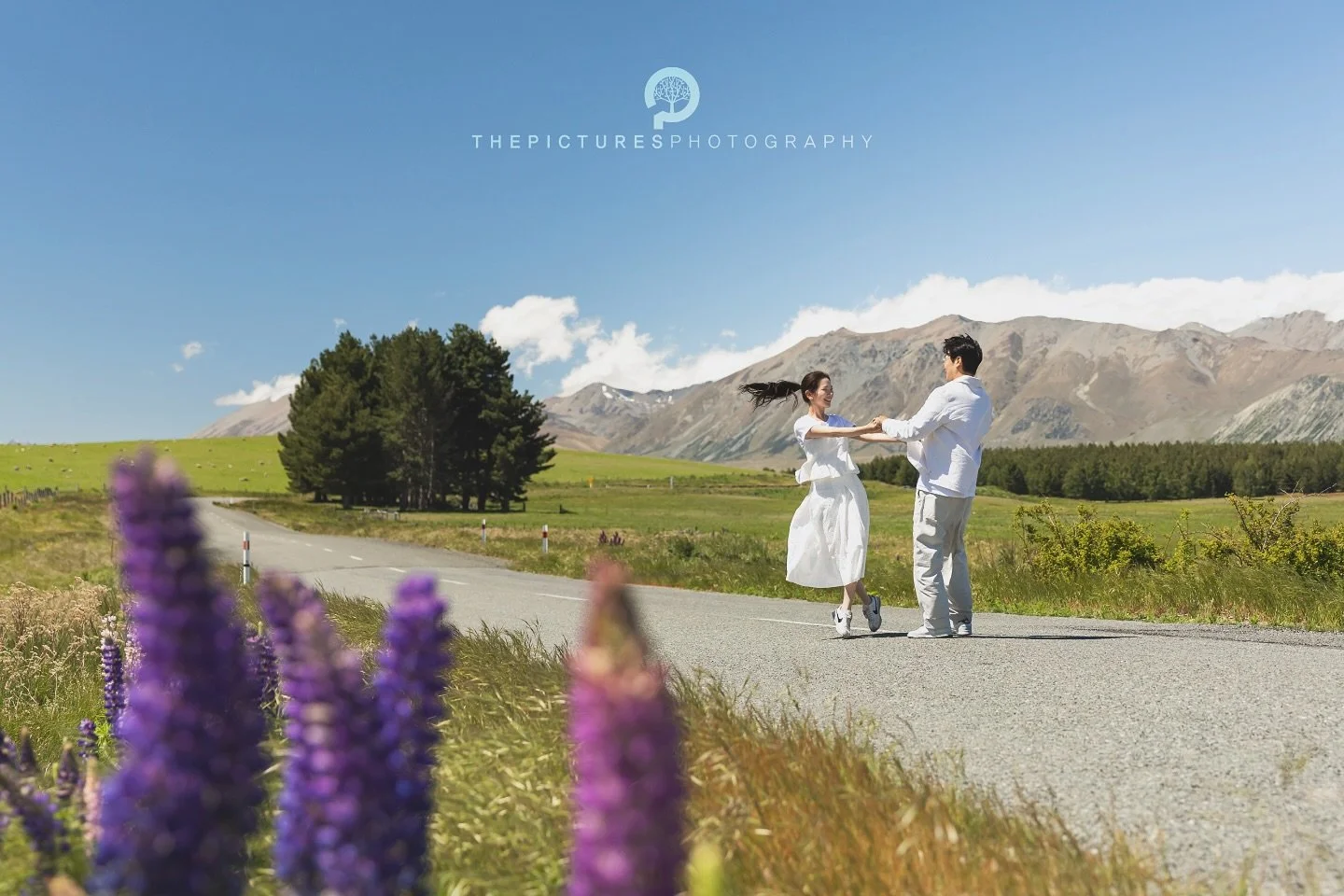 더픽처스 뉴질랜드스냅
 
 
판타지가 현실이 되는 아름다운 뉴질랜드에서 주인공이 되어보세요.😆
 
더픽처스의 뉴질랜드스냅은 판타지의 나라 뉴질랜드 남섬의 캔터베리(테카포, 푸카키, 마운트쿡)지역과 오타고(퀸스타운, 와나카, 글레노키)지역에서 스냅사진과 스냅영상을 촬영합니다.

📮촬영문의는 프로필의 카카오톡 링크로 주세요~
 
 
■촬영일정 Schedule
26년