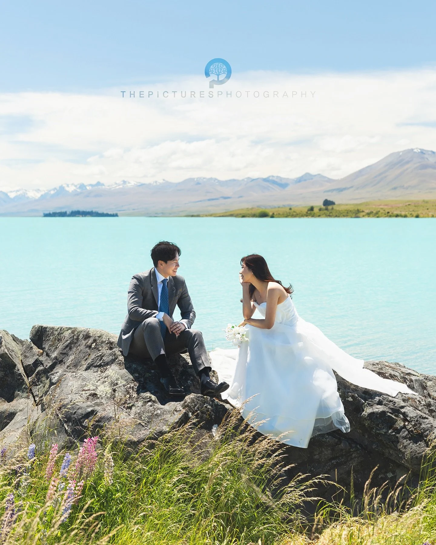 더픽처스 뉴질랜드스냅
 
 
판타지가 현실이 되는 아름다운 뉴질랜드에서 주인공이 되어보세요.😆
 
더픽처스의 뉴질랜드스냅은 판타지의 나라 뉴질랜드 남섬의 캔터베리(테카포, 푸카키, 마운트쿡)지역과 오타고(퀸스타운, 와나카, 글레노키)지역에서 스냅사진과 스냅영상을 촬영합니다.

📮촬영문의는 프로필의 카카오톡 링크로 주세요~
 
 
■촬영일정 Schedule
26년