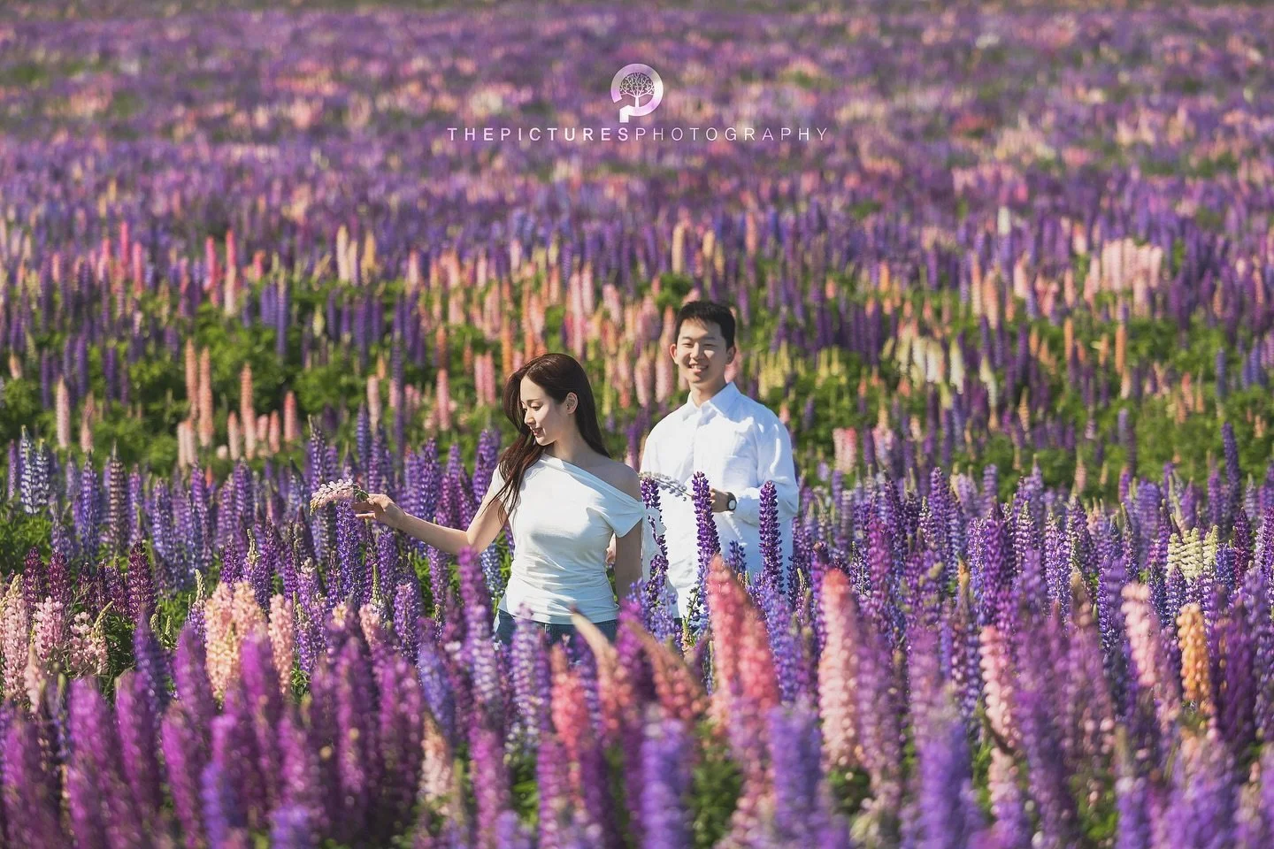 더픽처스 뉴질랜드스냅
 
 
판타지가 현실이 되는 아름다운 뉴질랜드에서 주인공이 되어보세요.😆
 
더픽처스의 뉴질랜드스냅은 판타지의 나라 뉴질랜드 남섬의 캔터베리(테카포, 푸카키, 마운트쿡)지역과 오타고(퀸스타운, 와나카, 글레노키)지역에서 스냅사진과 스냅영상을 촬영합니다.

📮촬영문의는 프로필의 카카오톡 링크로 주세요~
 
 
■촬영일정 Schedule
26년