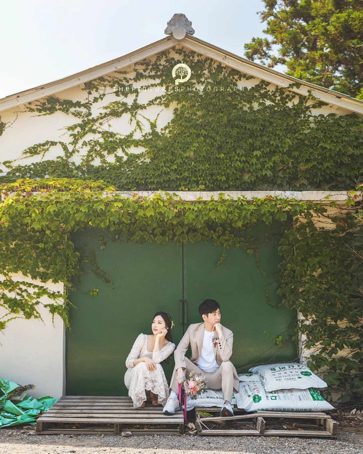 in Jeju Island, South Korea

 
📸 Shoot on Aug.
 

For your beautiful time in Jeju Island‼️
ThePictures Photography is taking a photo and video for wedding, family, couple, friends, proposal and etc in Jeju Island, South Korea.

📮For inquiries, plea